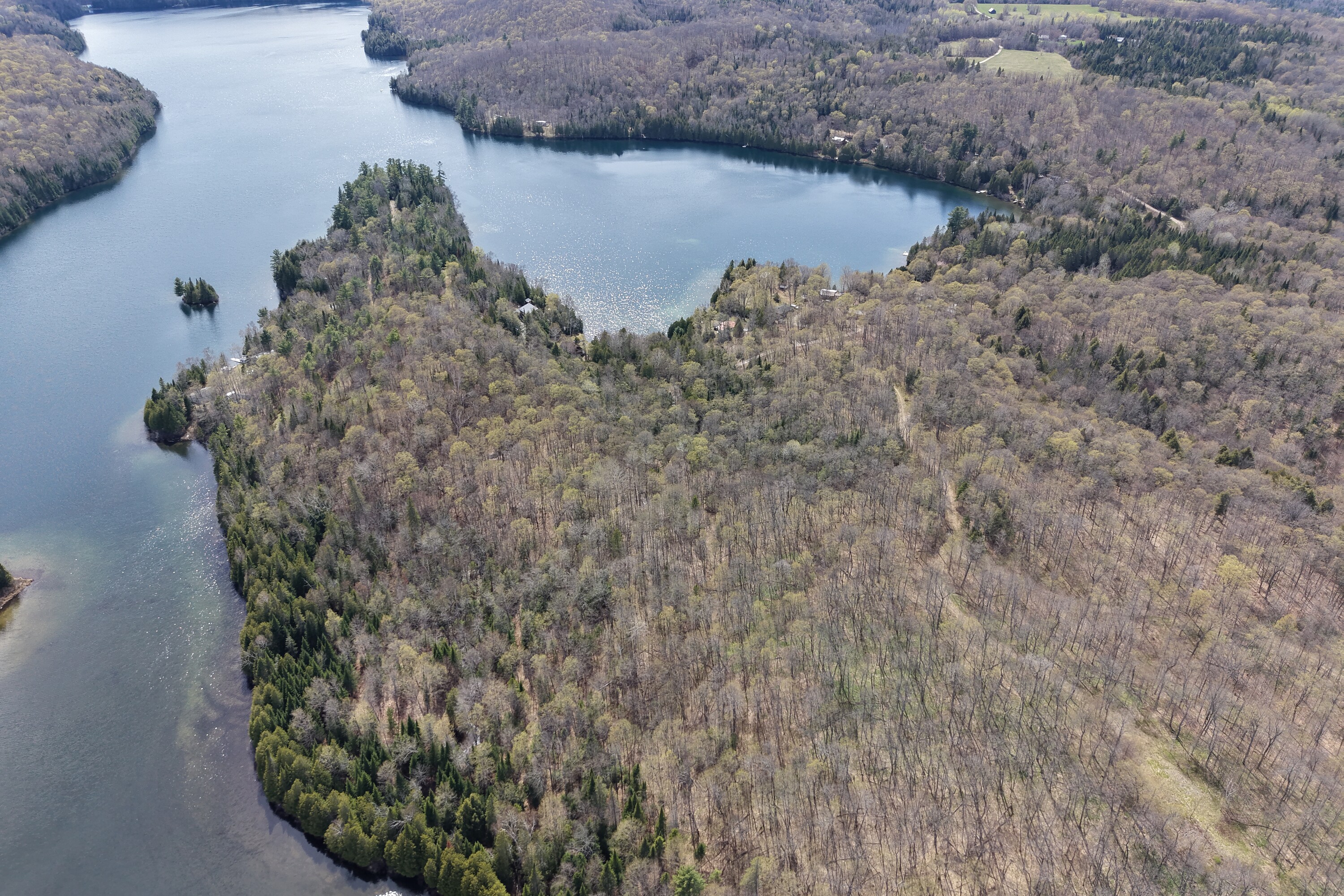  Charlotte Lake Waterfront - 物件實景