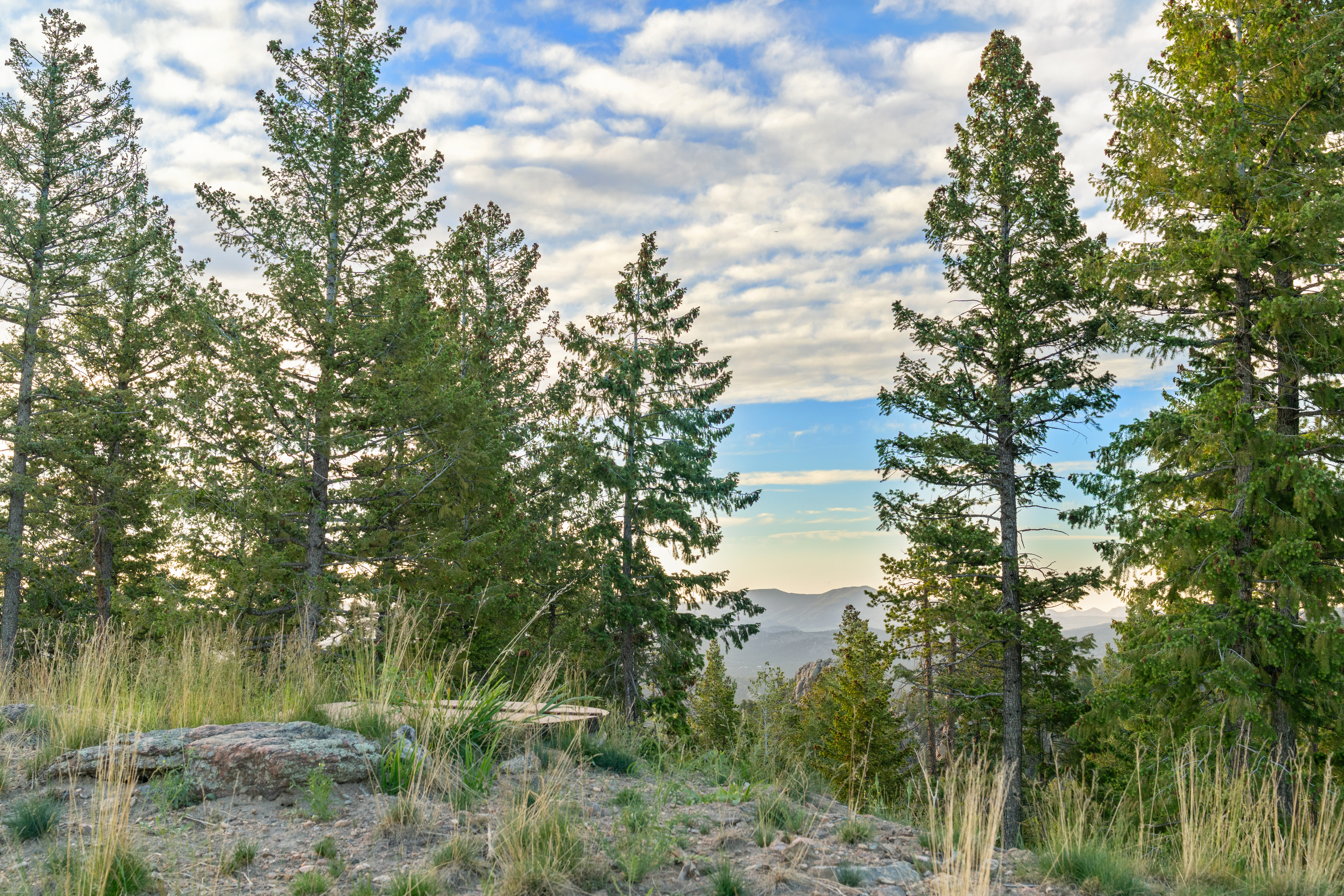  Acreage Available in Evergreen