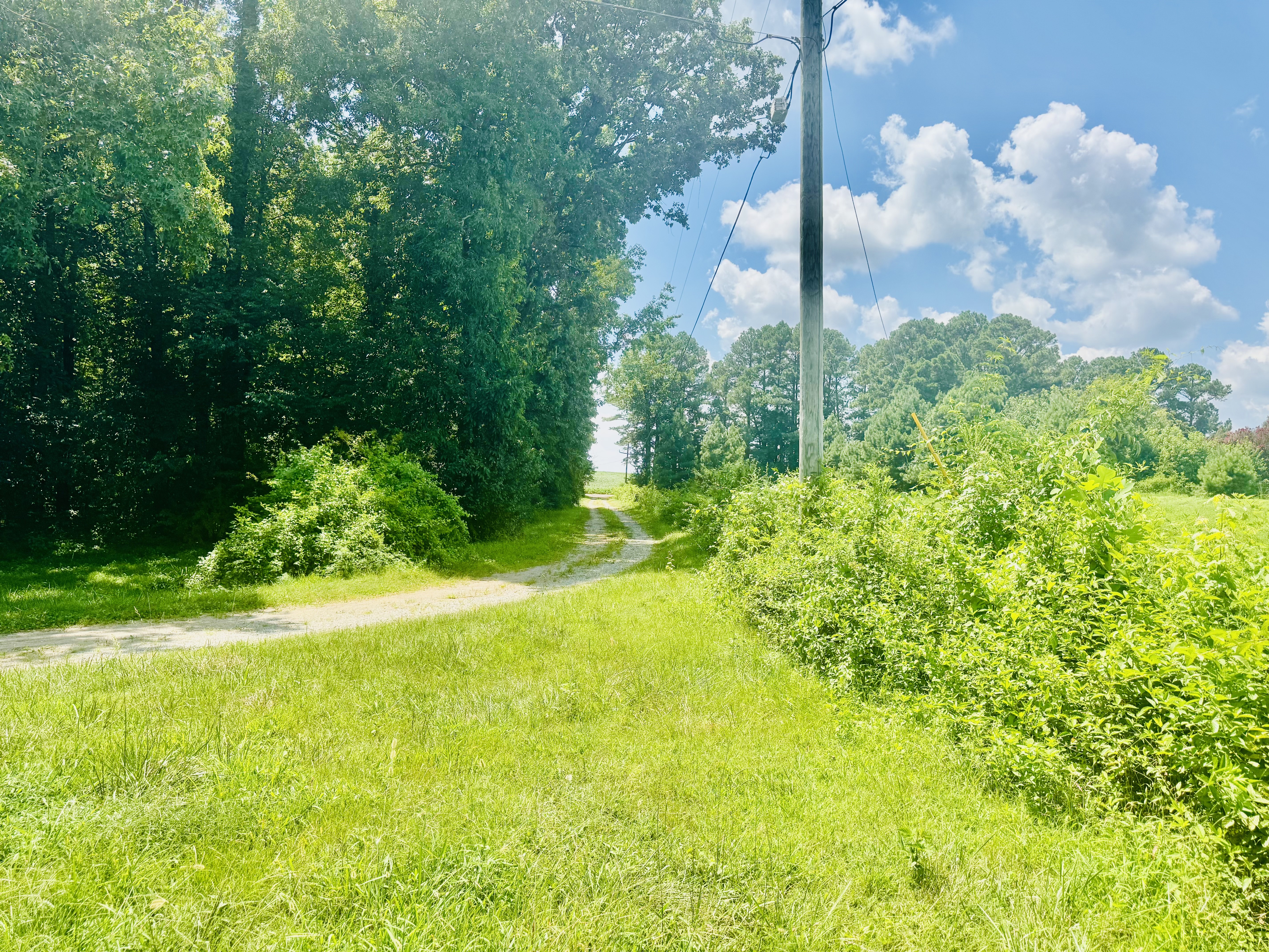 Athens, Alabama, 35613, United States, ,Residential,For Sale,1904529