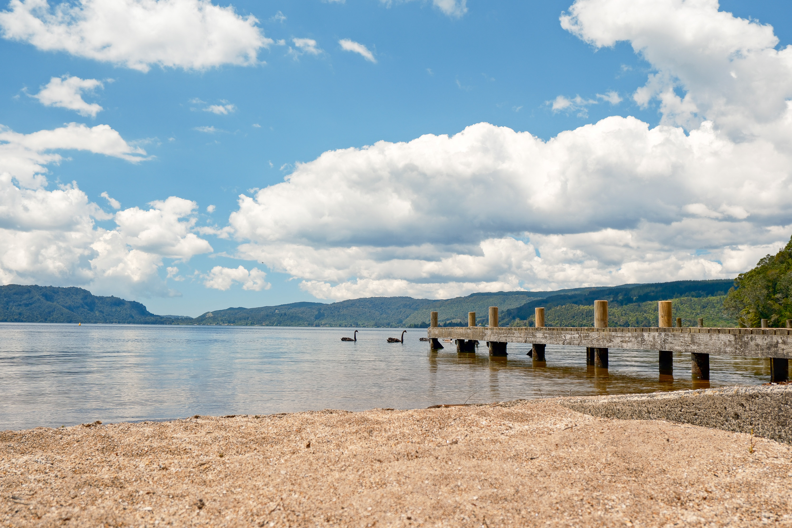  A Rare Rotoiti Legacy - 物件實景