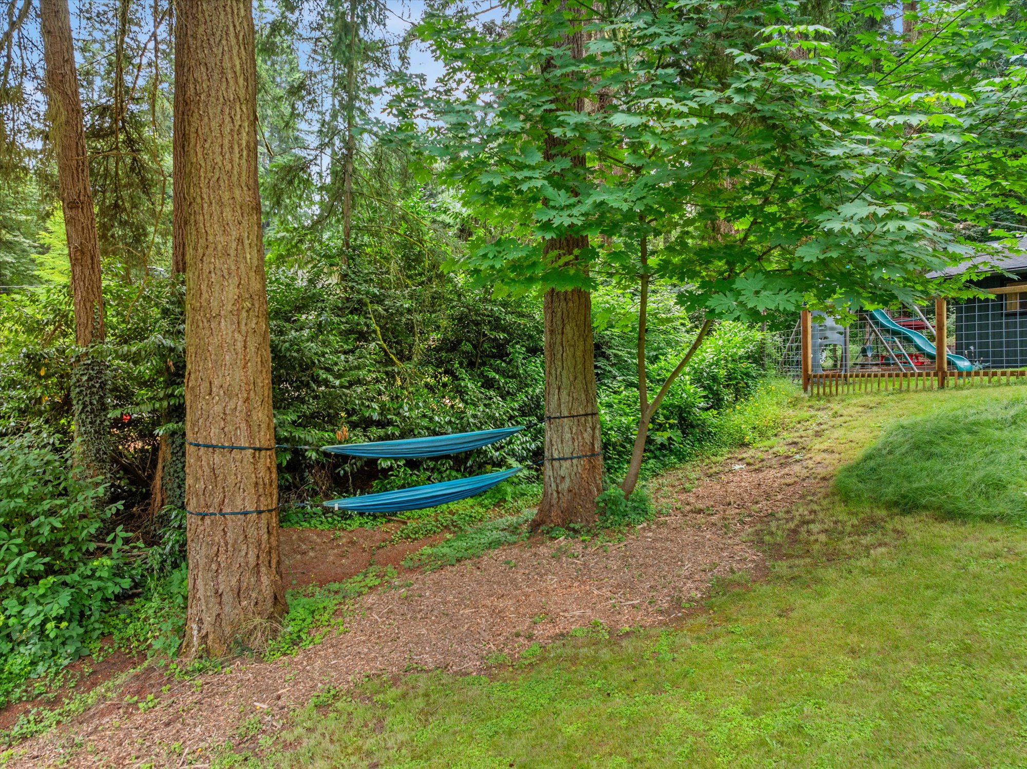  Cozy Nature Sanctuary in Bothell - 物件實景