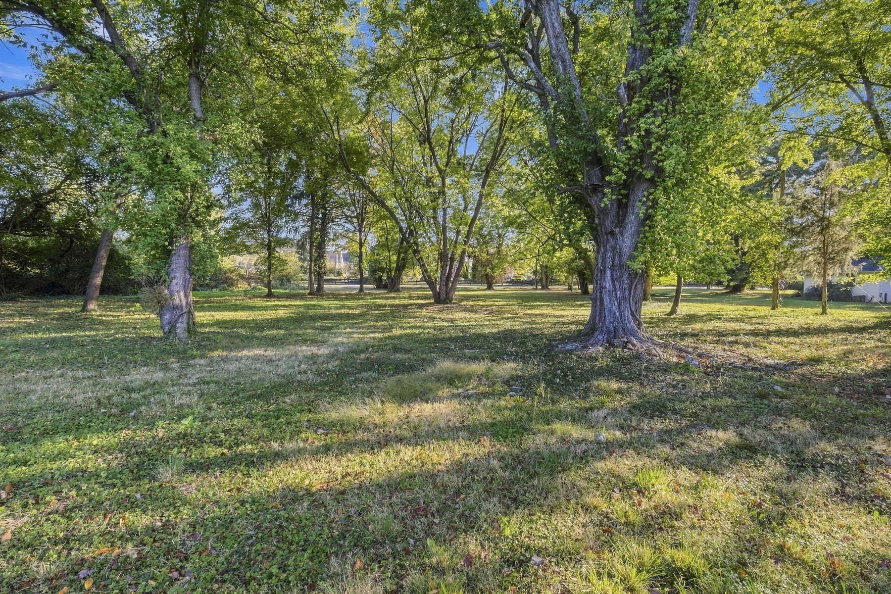  4414 Old Springdale Road, Louisville, KY 40241 - 物件實景