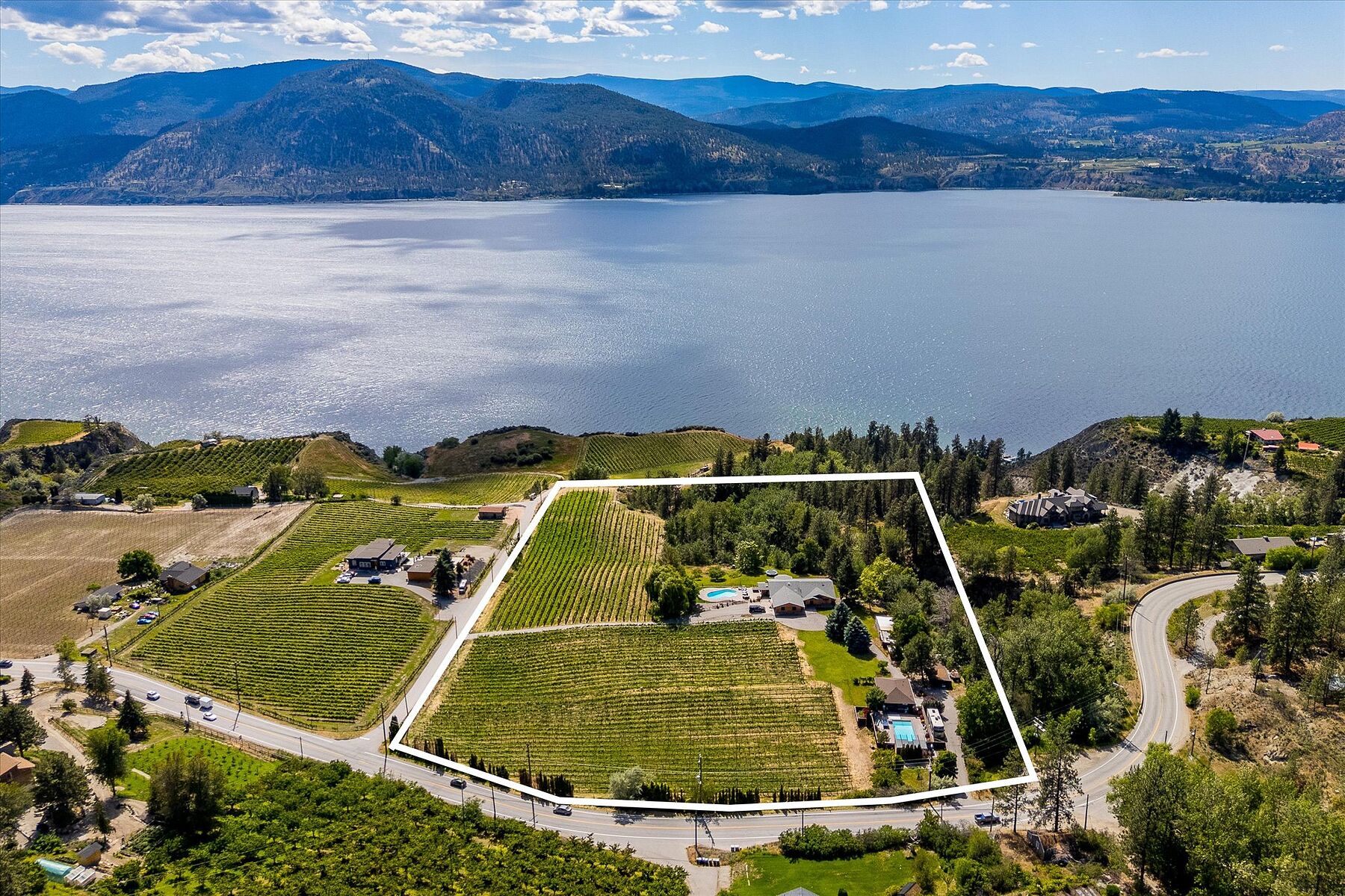  Multiple Homes on a Vineyard - 物件實景