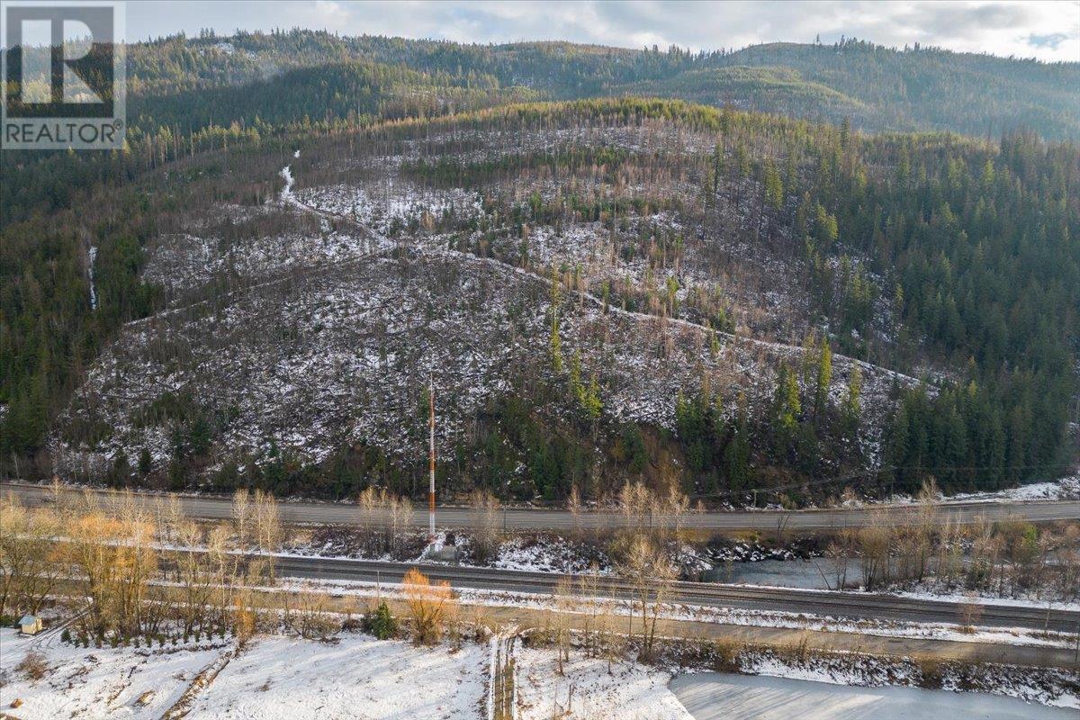 SICAMOUS, British Columbia, V0E 2V4, CA, 2 Bedrooms Bedrooms, ,2 BathroomsBathrooms,Residential,For Sale,1949682