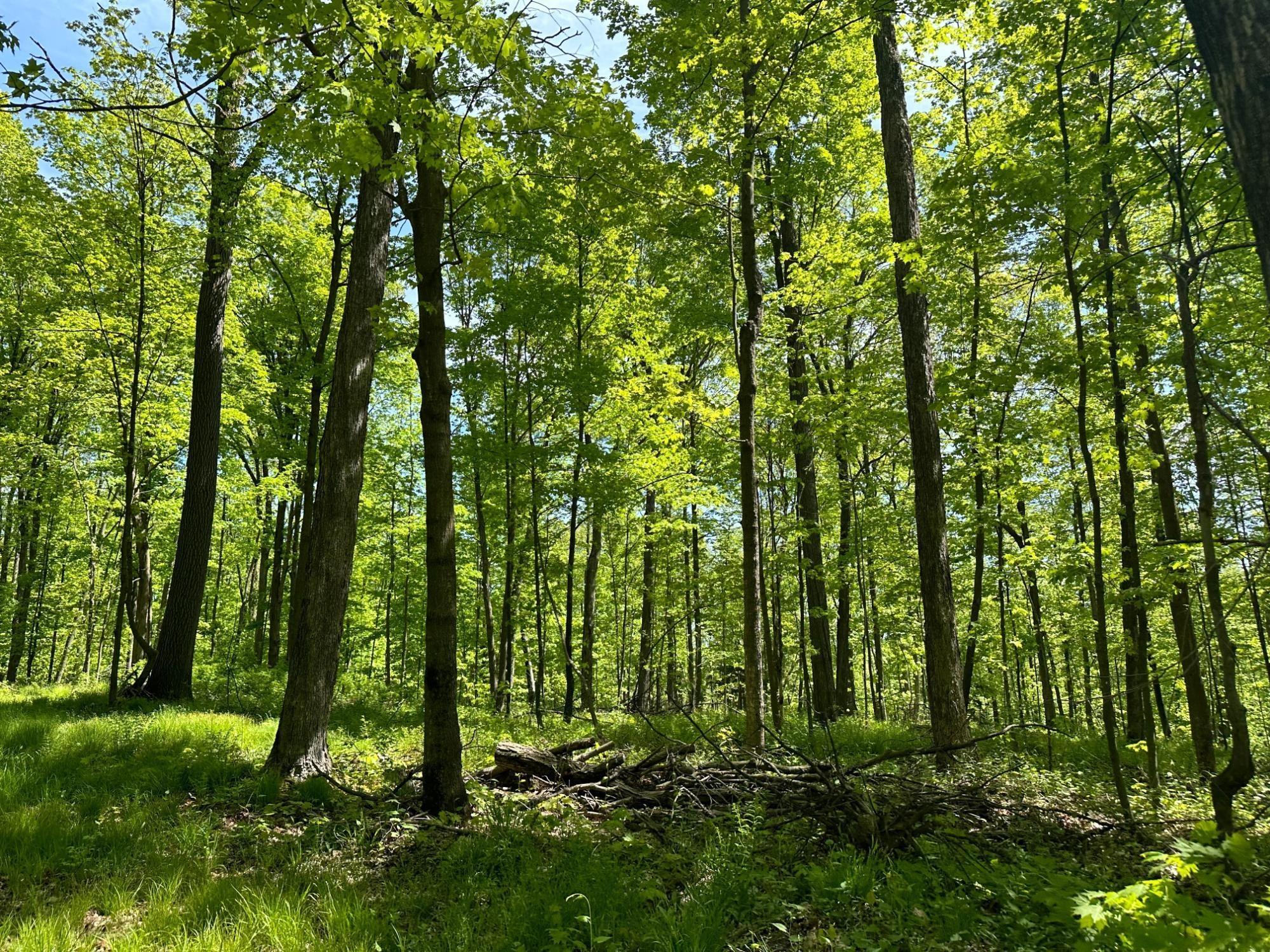 Maine, Wisconsin, 54452, United States, ,Residential,For Sale,1935602