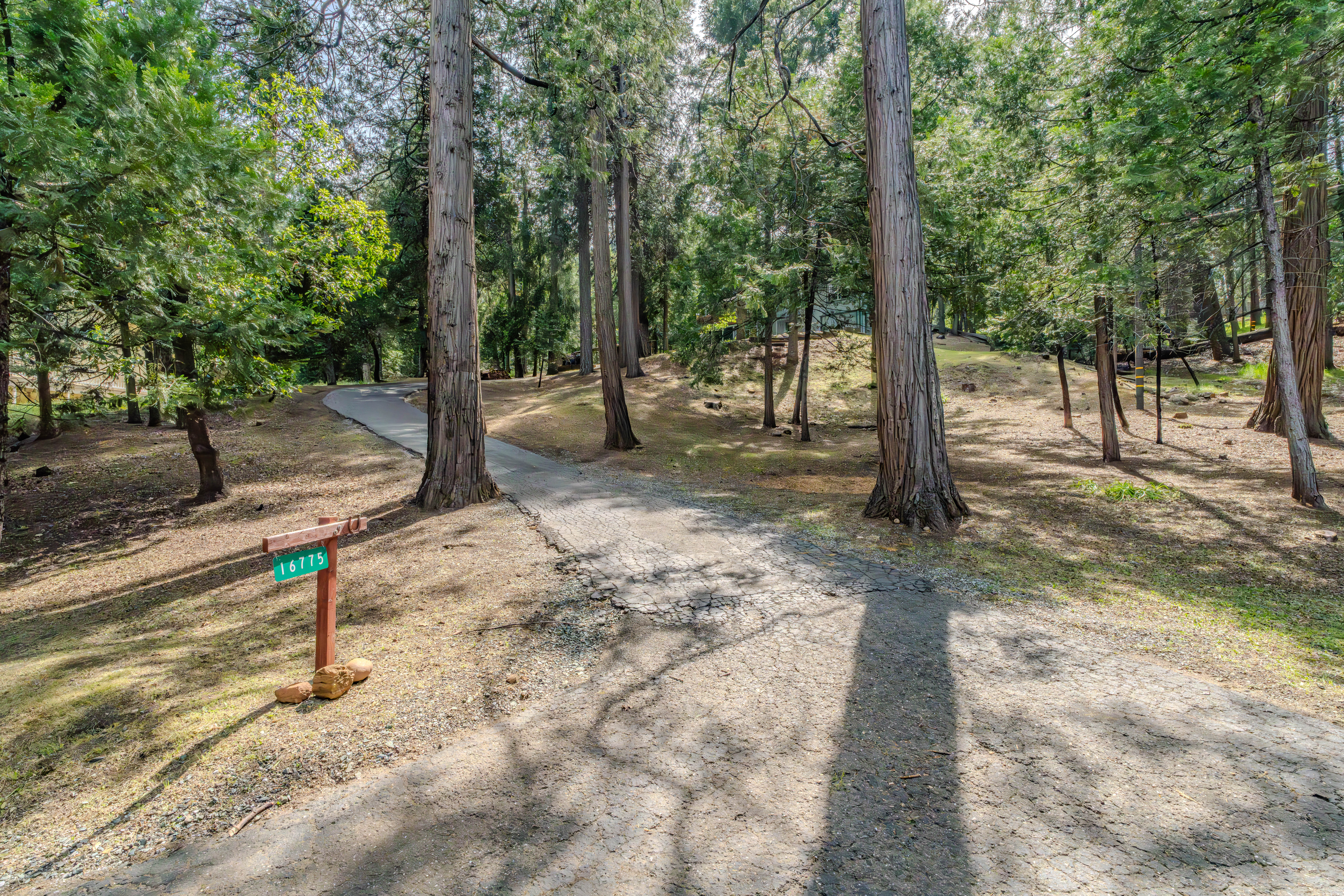  16775 Silver Drive South, Pioneer, CA 95666 - 物件實景