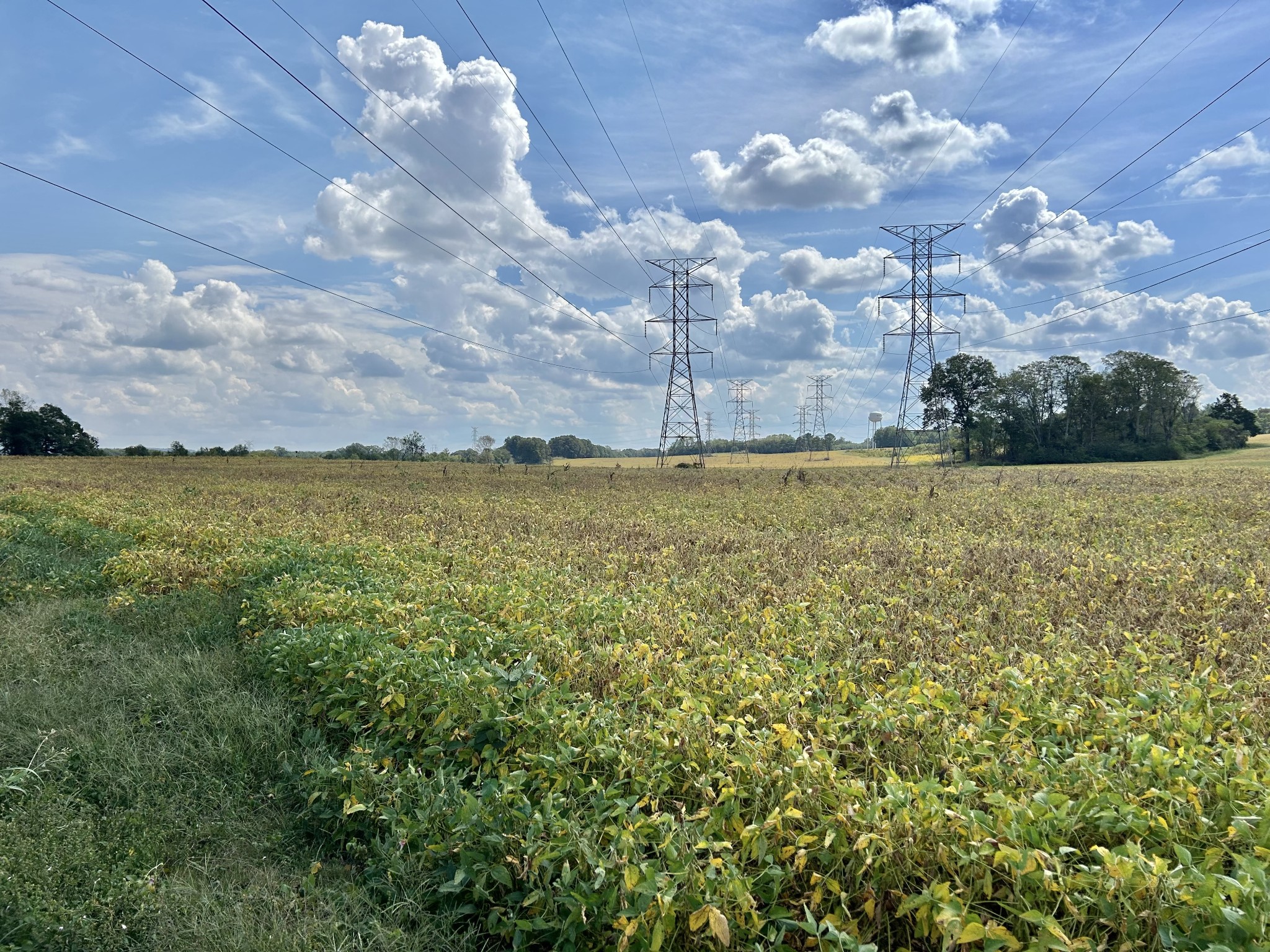 Decherd, Tennessee, 37324, United States, ,Land,For Sale,2016602