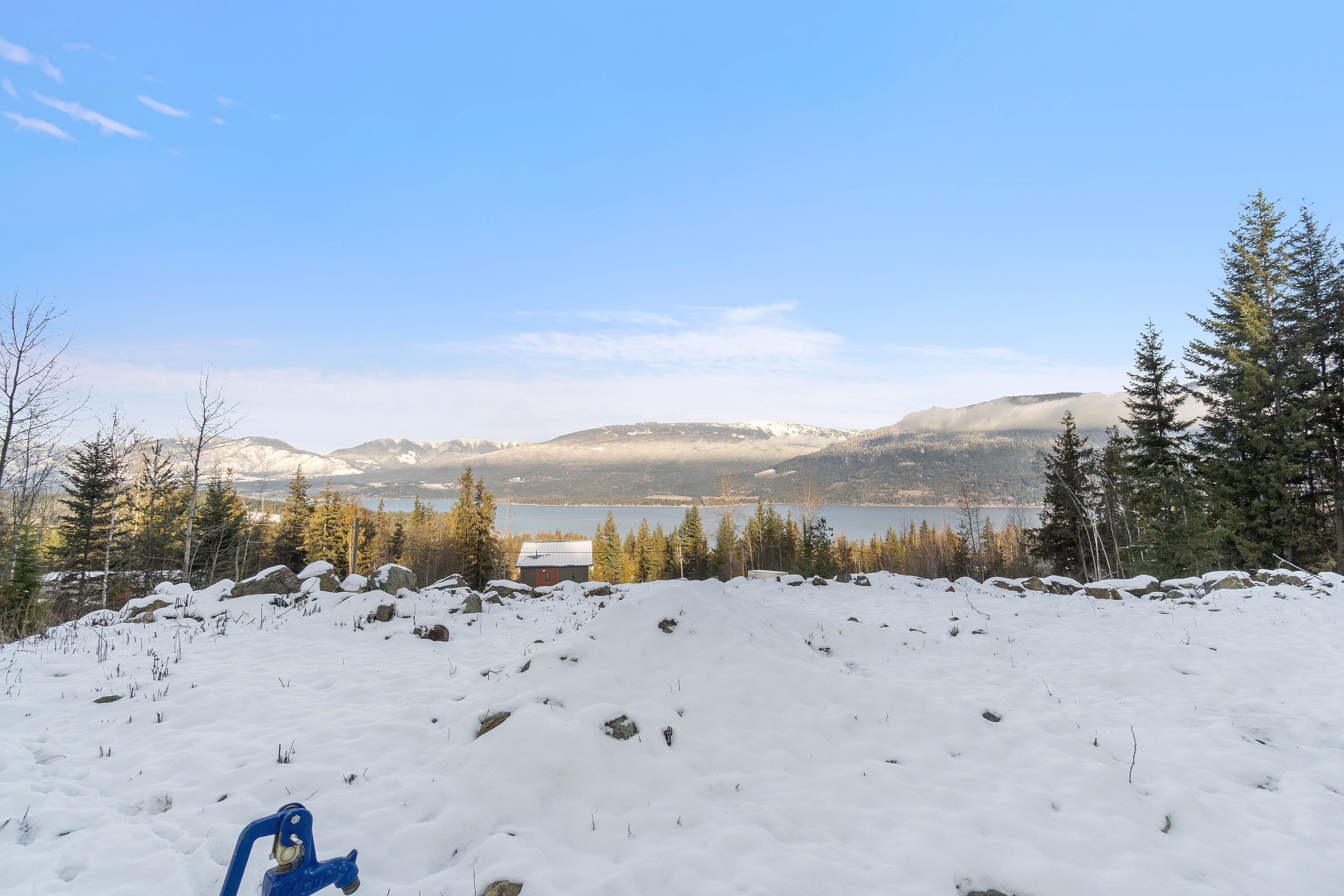  Exceptional Lakeview - 物件實景
