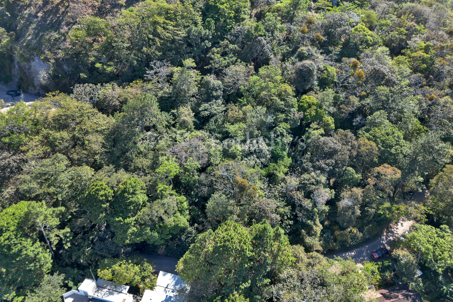  Best Deal Lot In Condominuim Montaña del Sol - 物件實景