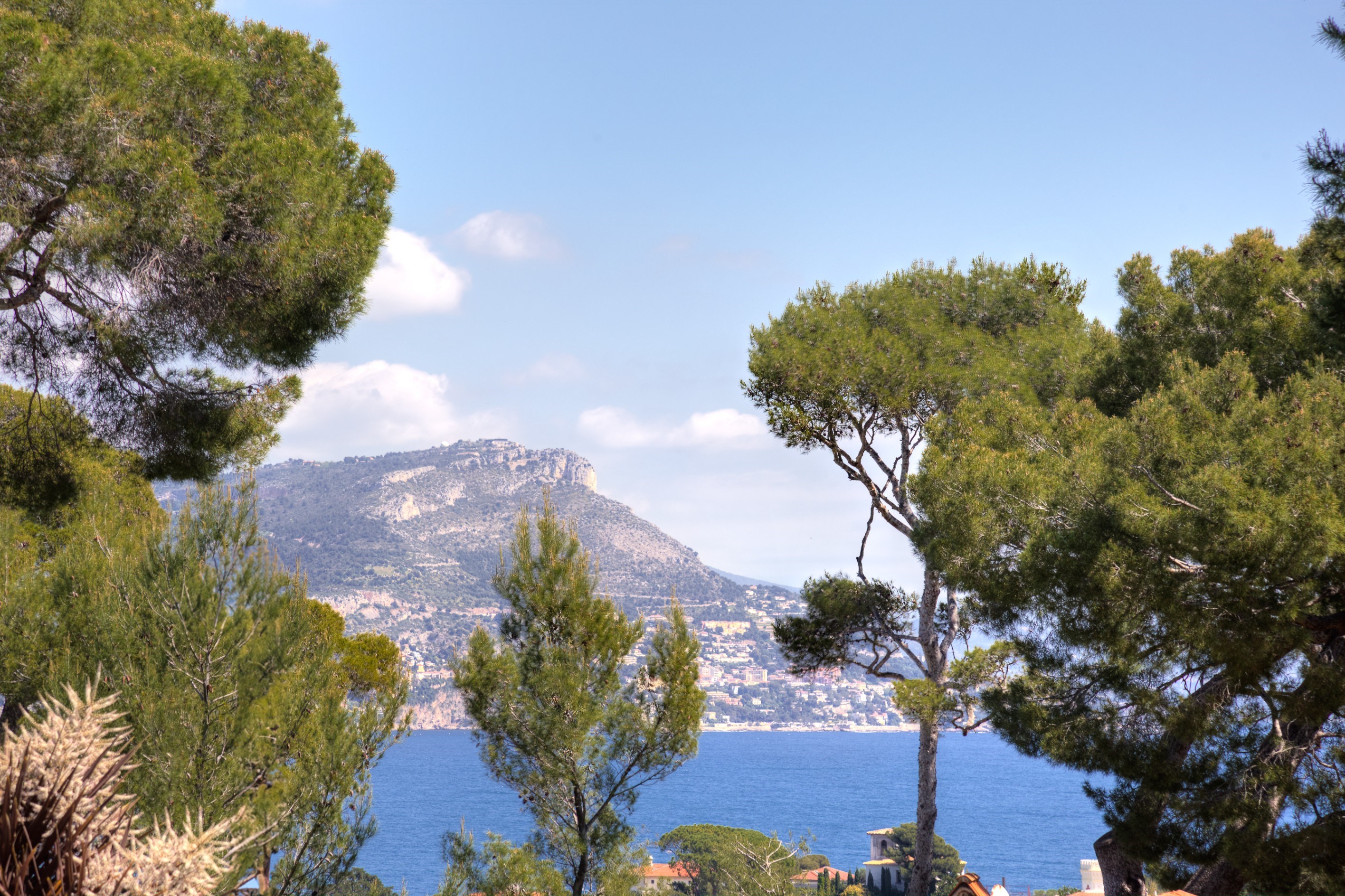  Saint-Jean-Cap-Ferrat contemporary villa with panoramic sea views and infinity … - 物件實景
