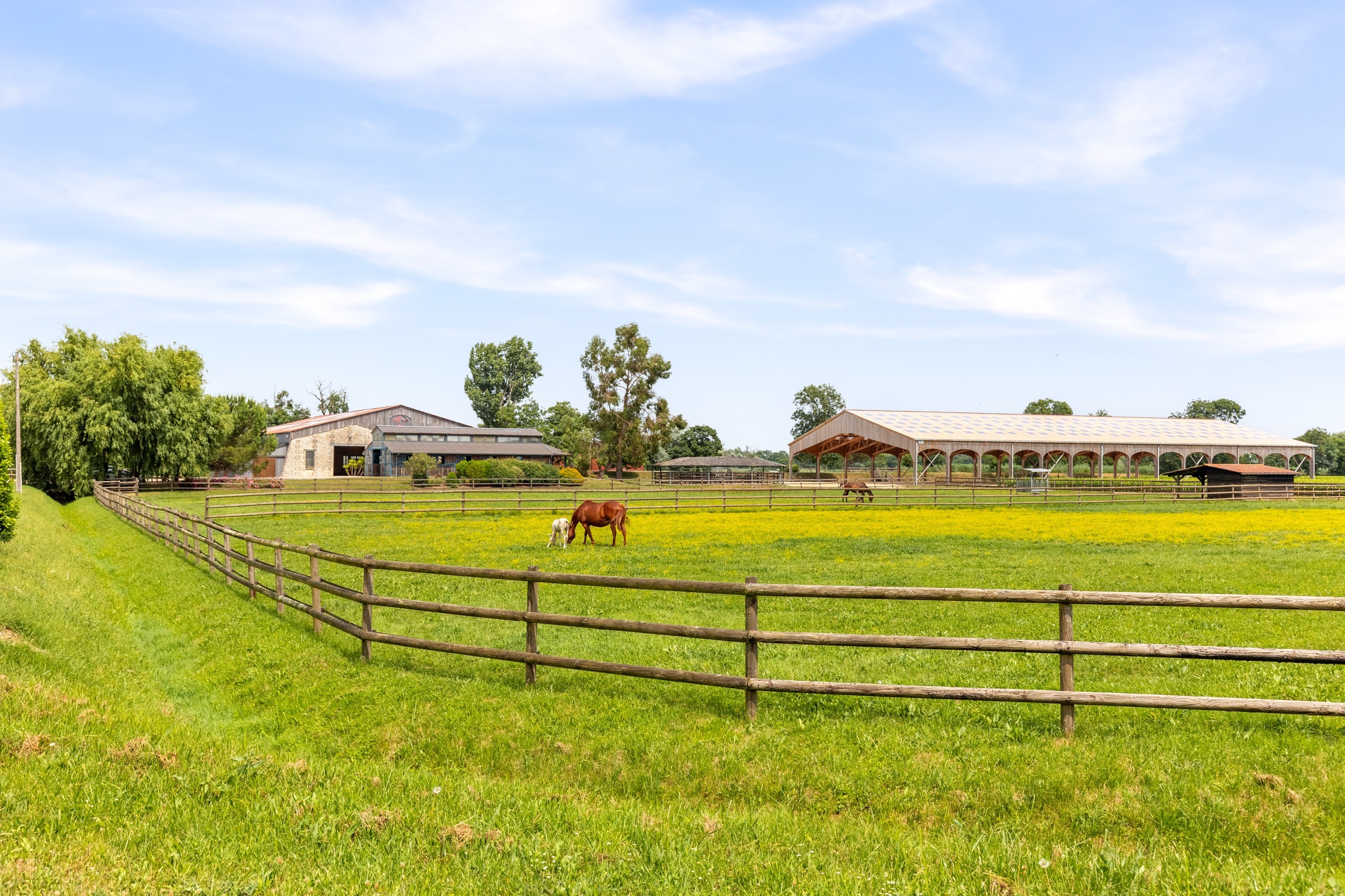  AN EXCEPTIONAL MIXED-USE PROPERTY COMBINING RESIDENTIAL, EQUESTRIAN AND WINE-PR… - 物件實景