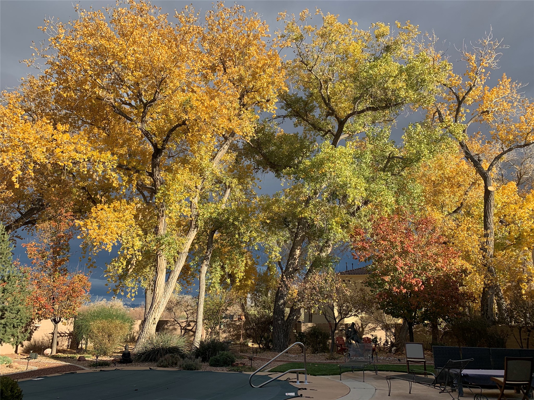  924 Camino Vista Rio - 物件實景