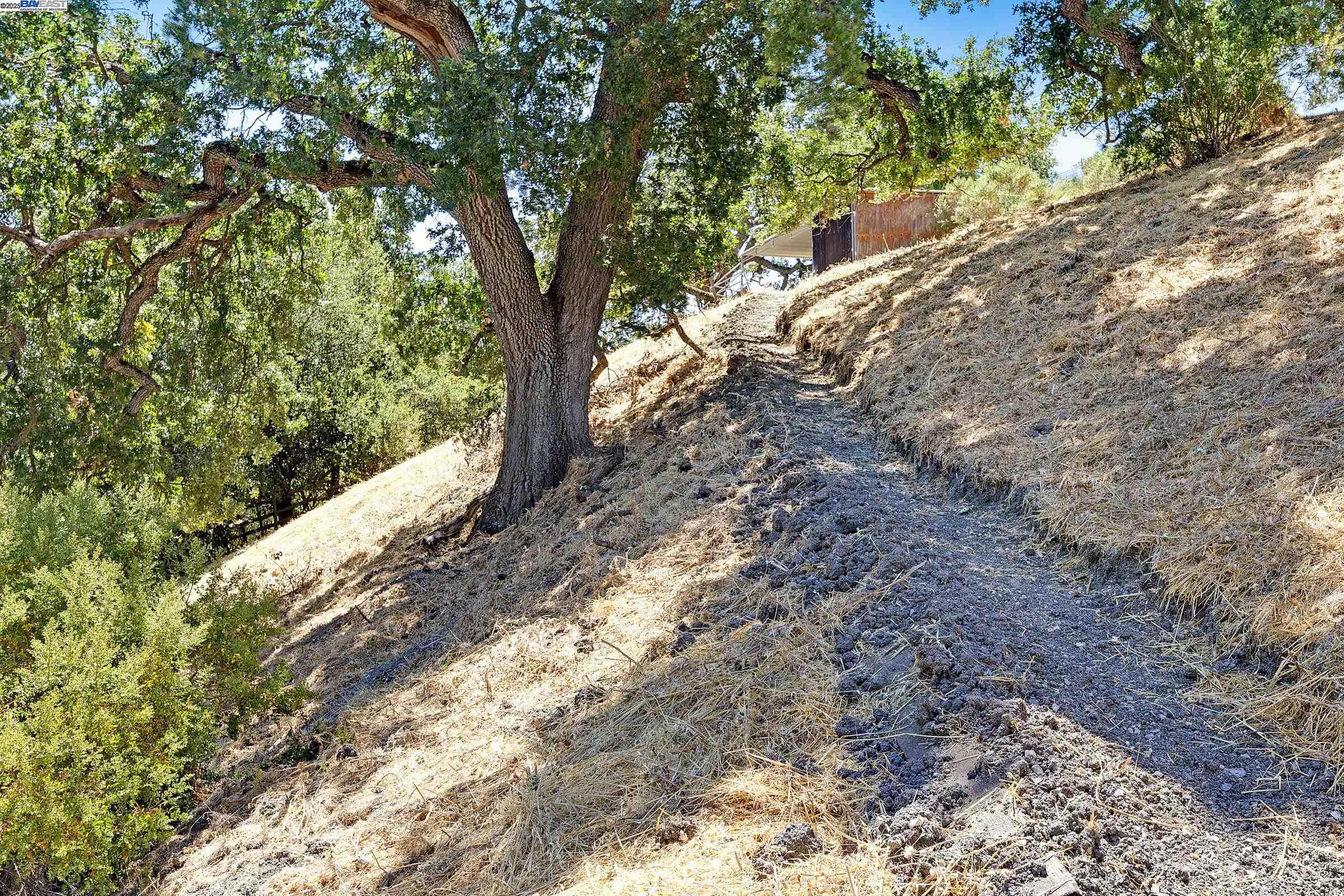 Alamo, California, 94507, United States, 4 Bedrooms Bedrooms, ,3 BathroomsBathrooms,Residential,For Sale,1907396