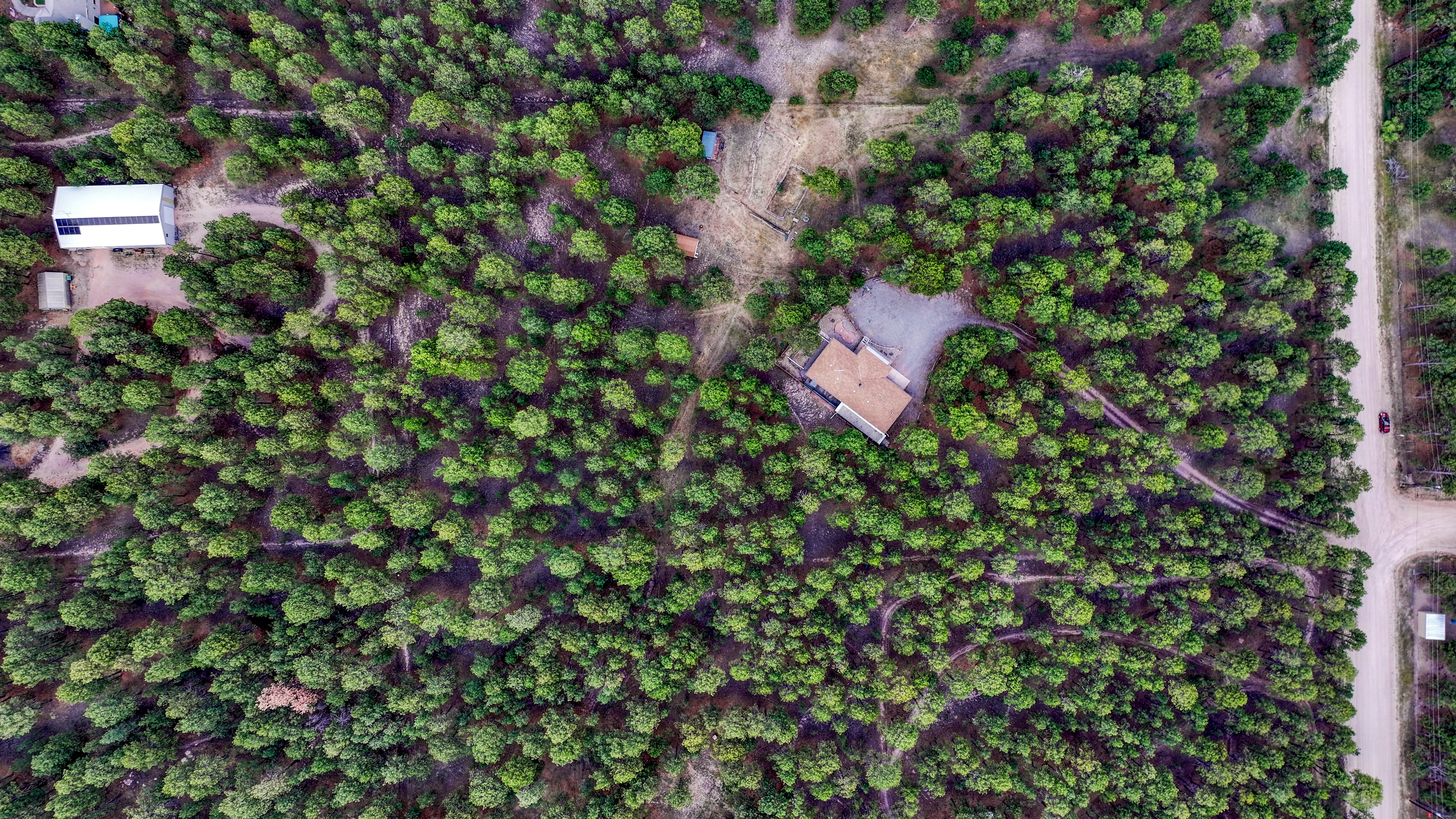  Meticulously maintained ranch-style home in sought-after Black Forest - 物件實景