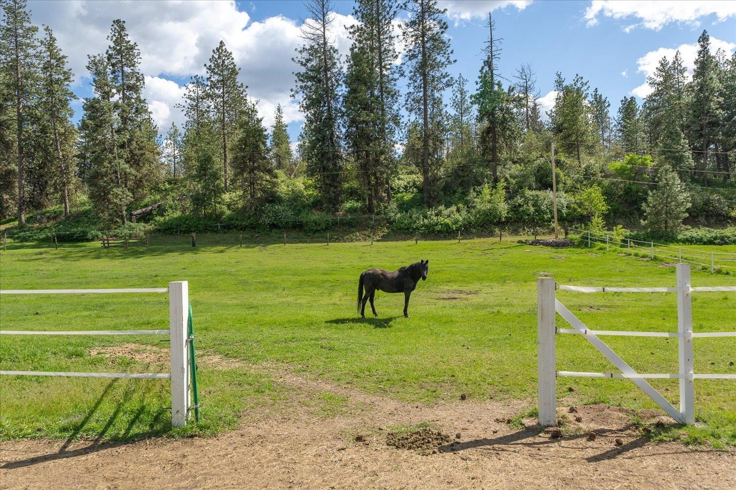 Spokane, Washington, 99224, United States, 3 Bedrooms Bedrooms, ,2 BathroomsBathrooms,Residential,For Sale,1838468