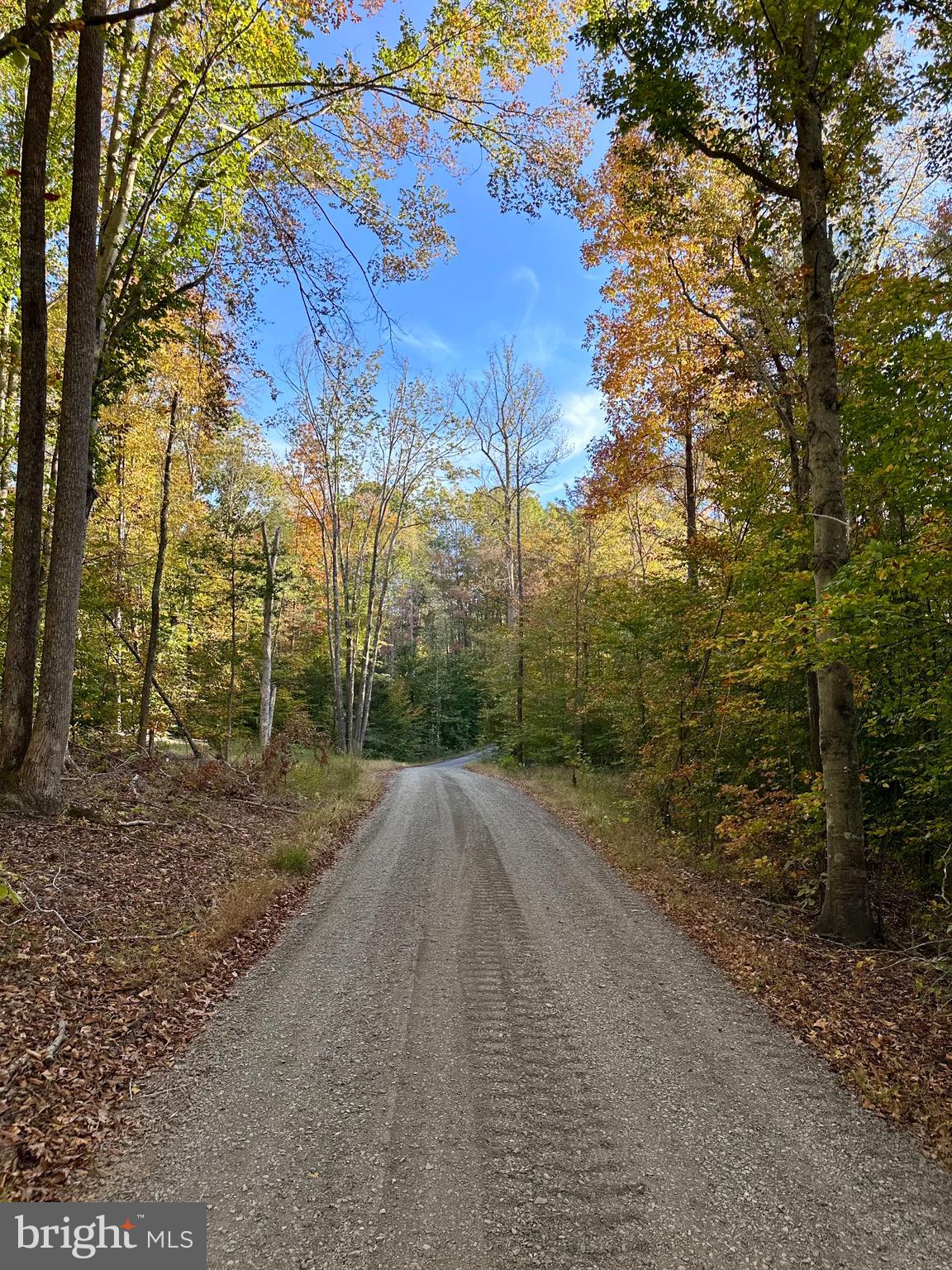 Lignum, Virginia, 22726, United States, 3 Bedrooms Bedrooms, ,2 BathroomsBathrooms,Residential,For Sale,1920703