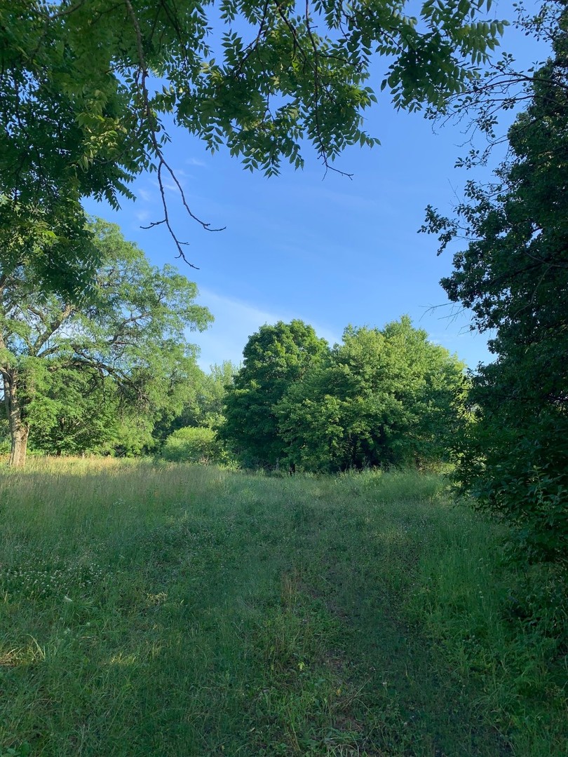 Long Grove, Illinois, 60047, United States, ,Land,For Sale,1794111