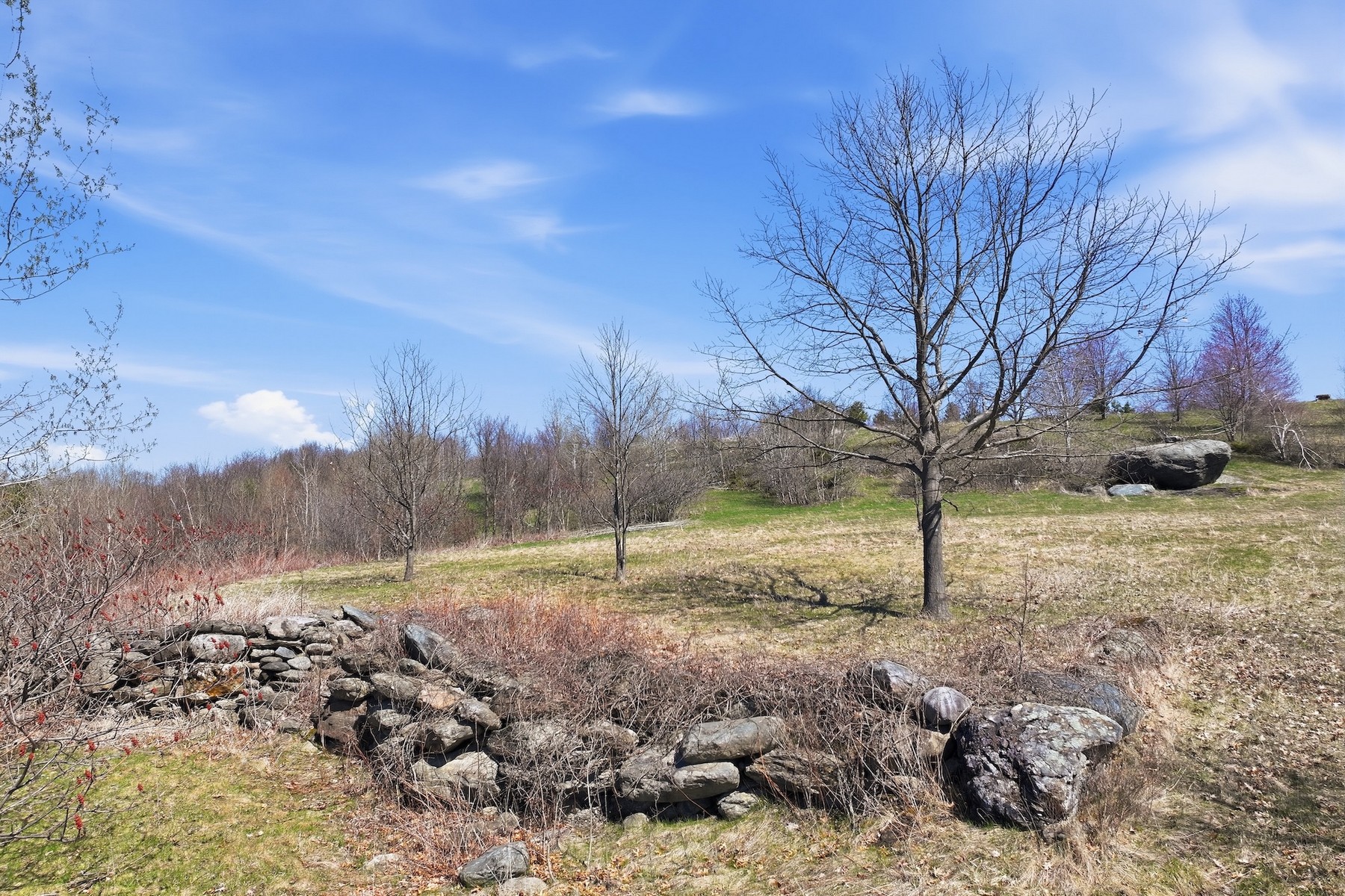  351 Ledgewood Drive - 物件實景