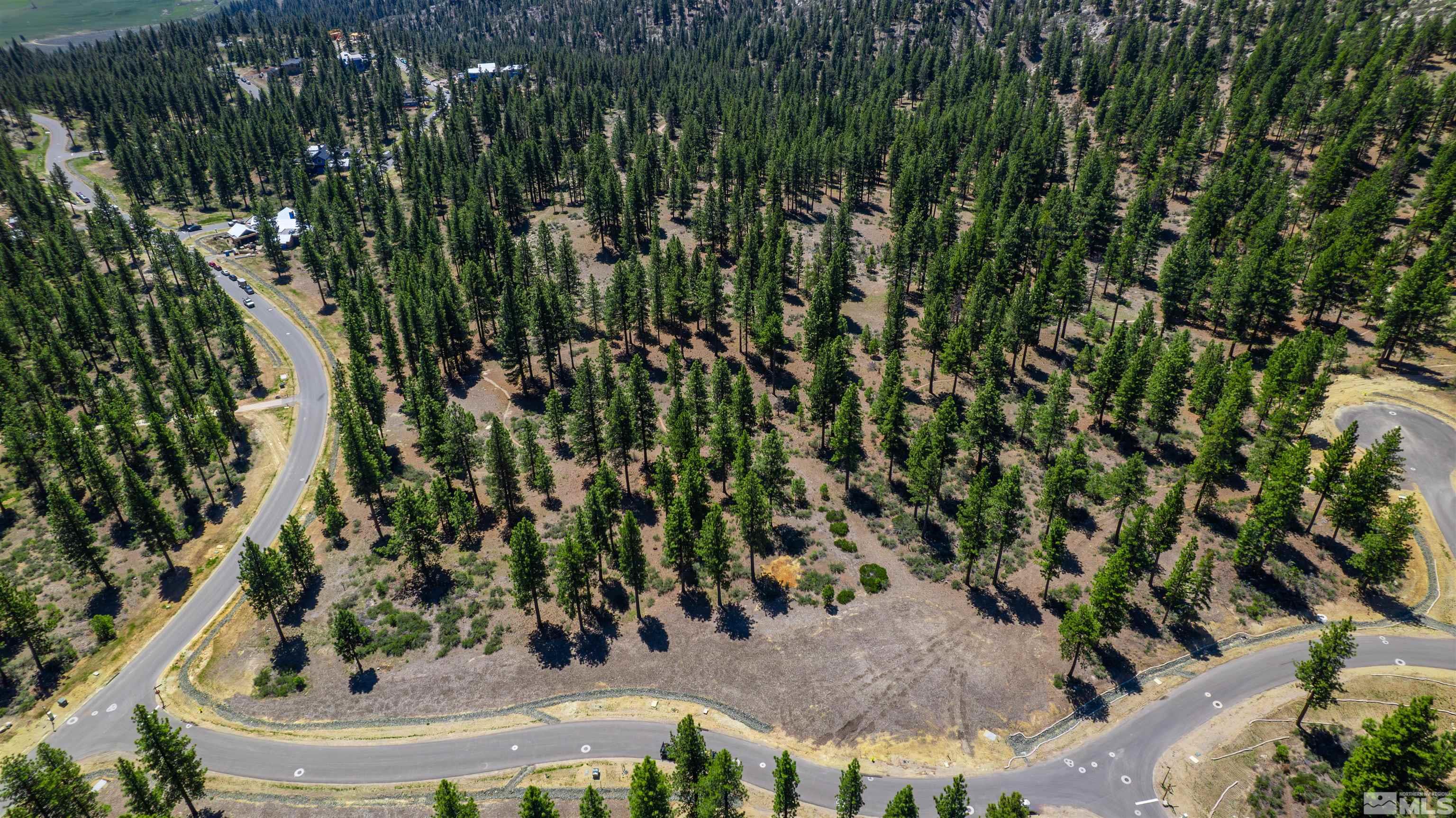 Carson City, Nevada, 89705, United States, ,Land,For Sale,1826407