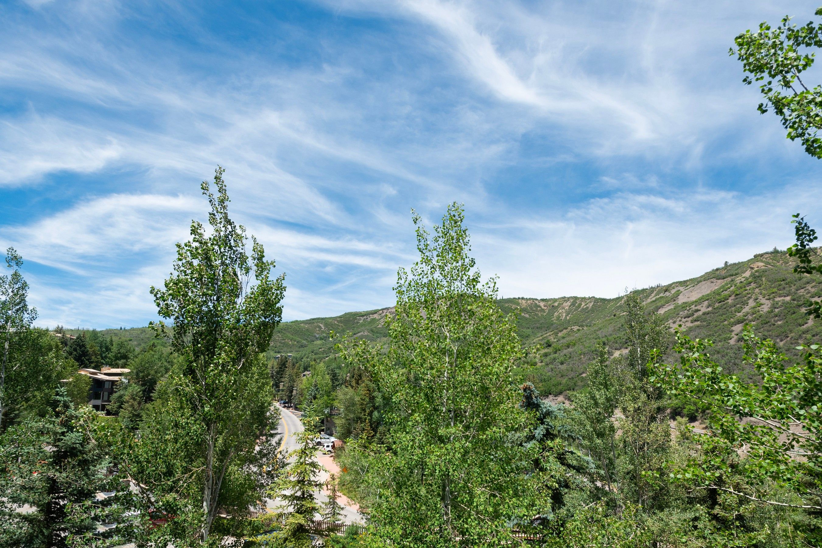  90 Carriage Way, Snowmass Village, CO, 81615 - 物件實景