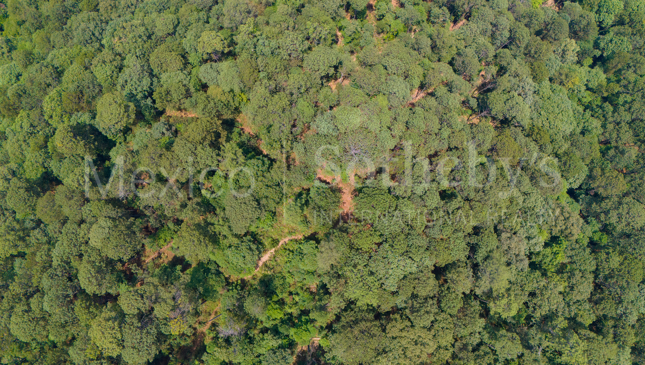  Terreno Rancho de Paso Hondo, Lote 17 - 物件實景