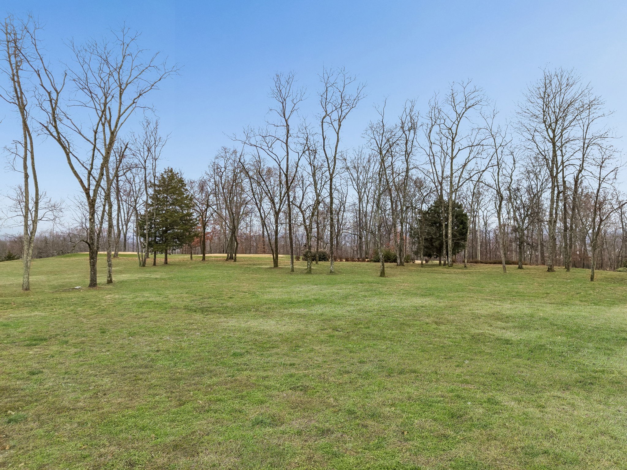  8025 Backwoods Dr, College Grove, TN, 37046 - 物件實景
