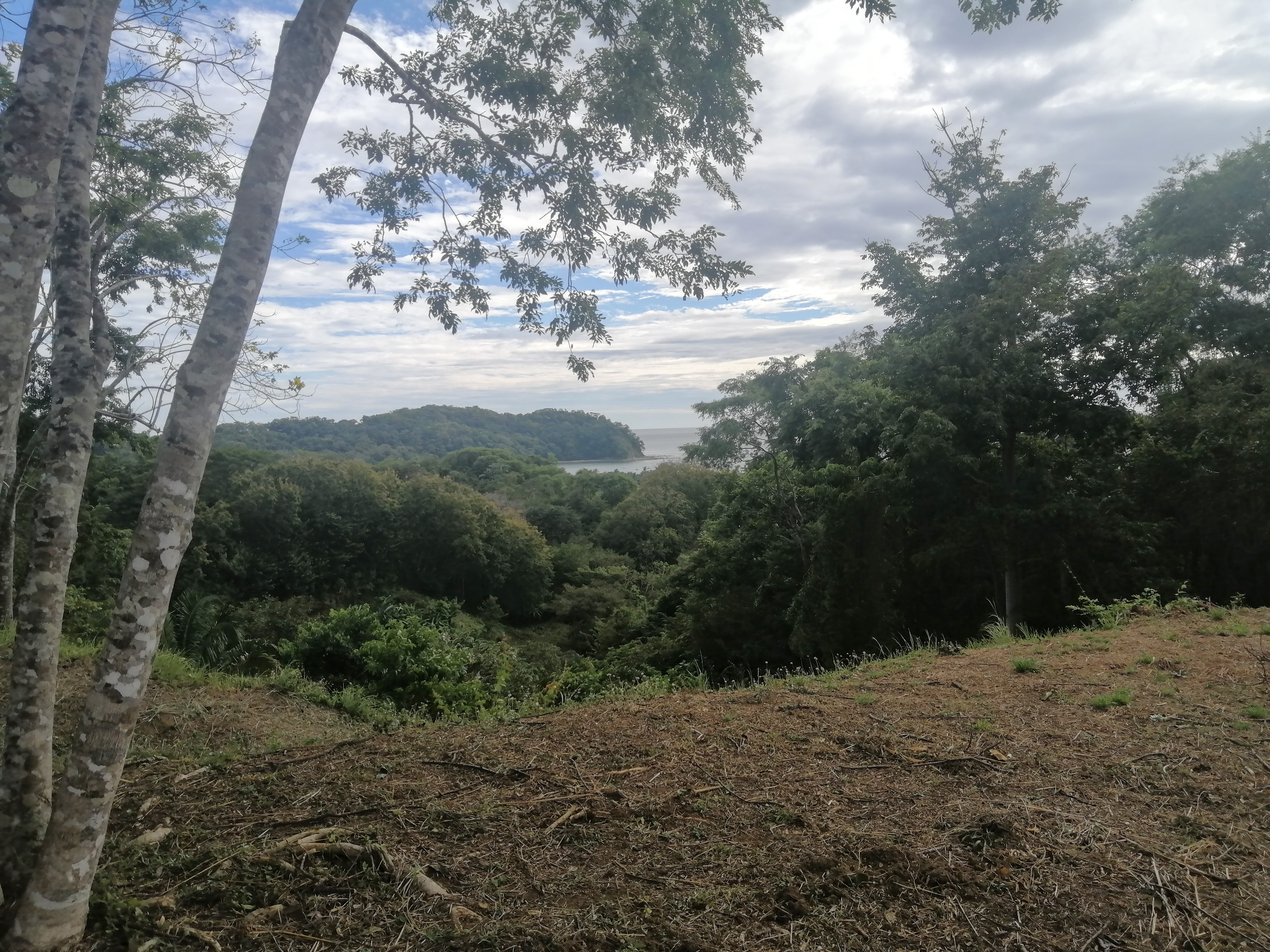 Samara, Samara, Guanacaste, CR, ,Land,For Sale,Samara,1612464