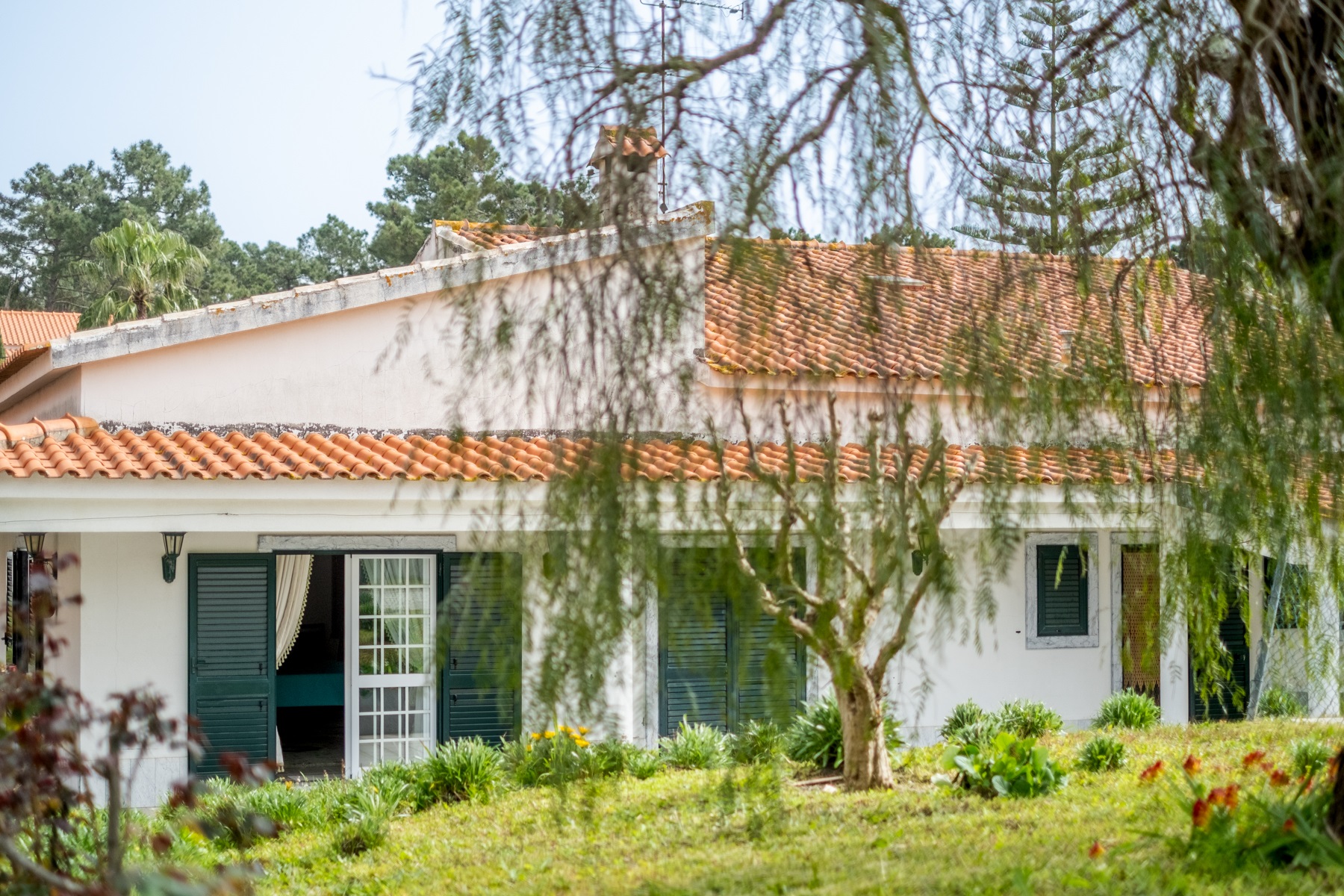  Detached house, 4 bedrooms, for Sale - 物件實景