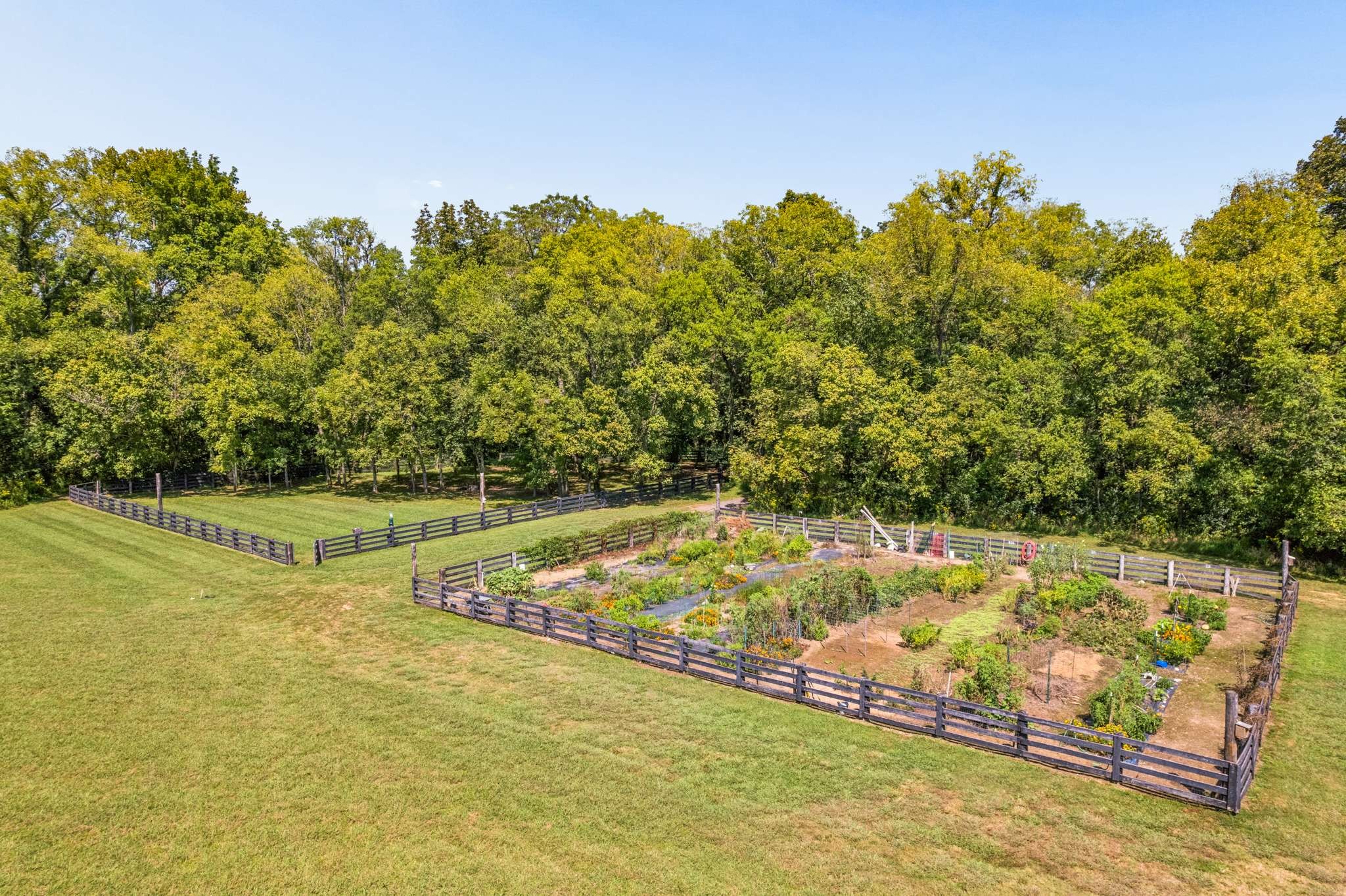 4672 Majestic Meadows Dr, Arrington, TN, 37014 - 物件實景