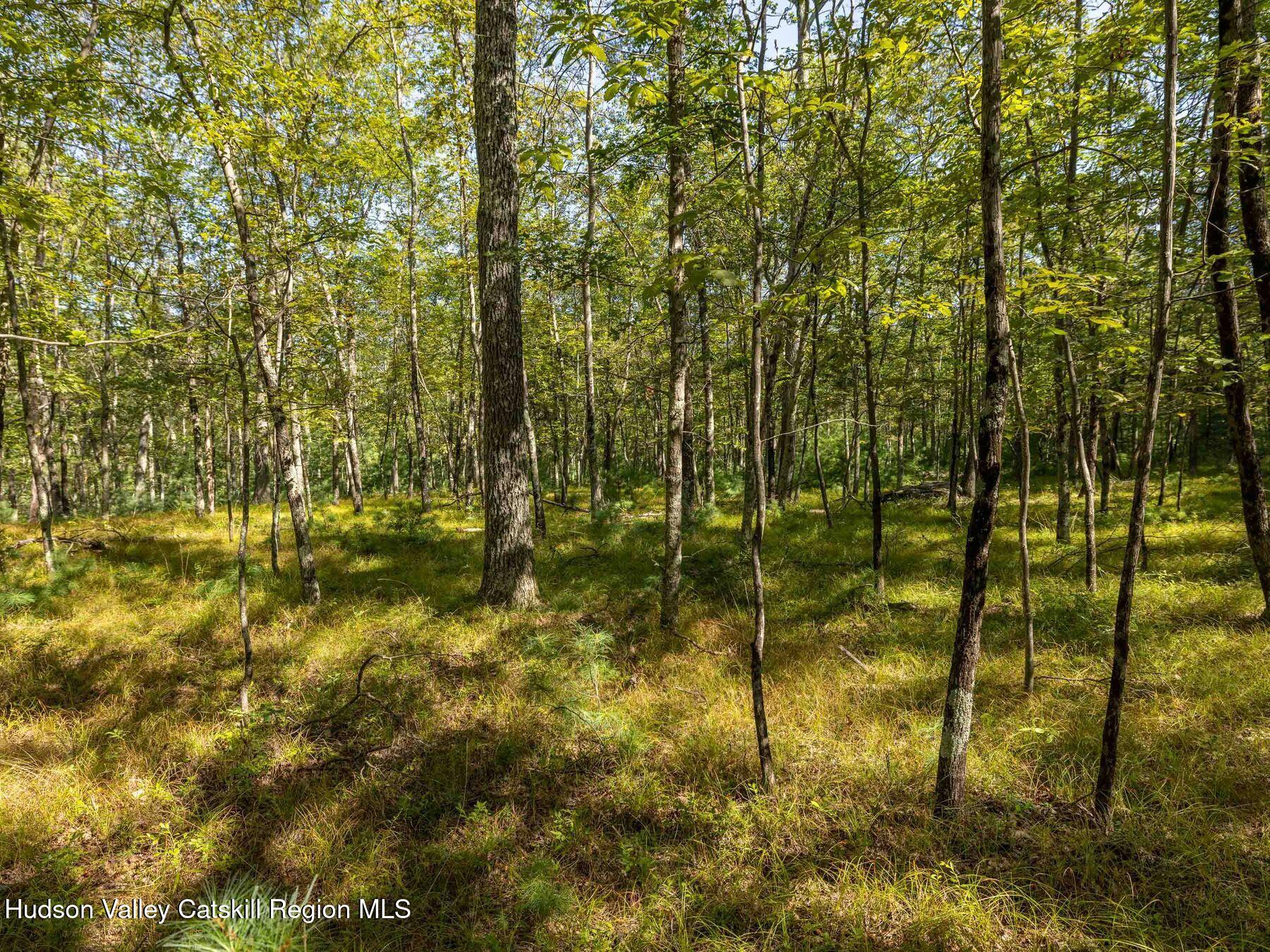Hurley, New York, 12443, United States, ,Residential,For Sale,1947114