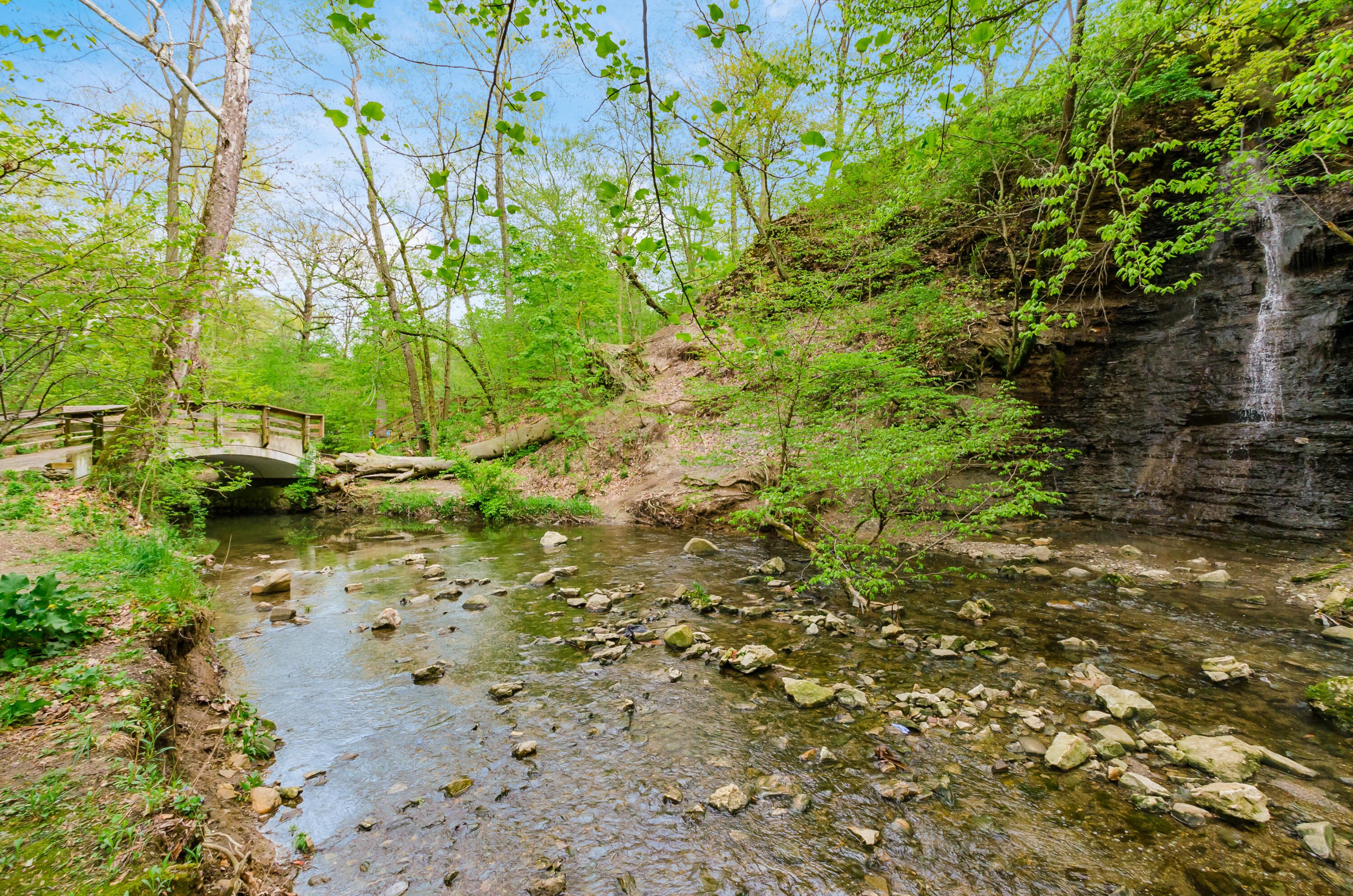 Columbus, Ohio, 43202, United States, 5 Bedrooms Bedrooms, ,4 BathroomsBathrooms,Residential,For Sale,1988321