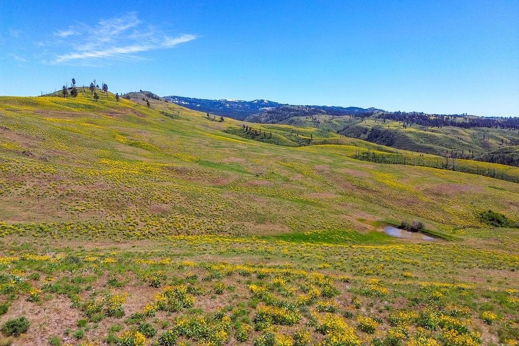 Council, Idaho, 83612, United States, ,Residential,For Sale,1935833