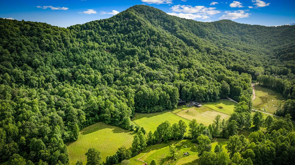 Blue Ridge, Georgia, 30513, United States, 3 Bedrooms Bedrooms, ,3 BathroomsBathrooms,Residential,For Sale,1974409