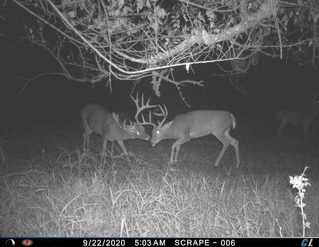 Goldsby, Oklahoma, 73093, United States, ,Land,For Sale,1976317