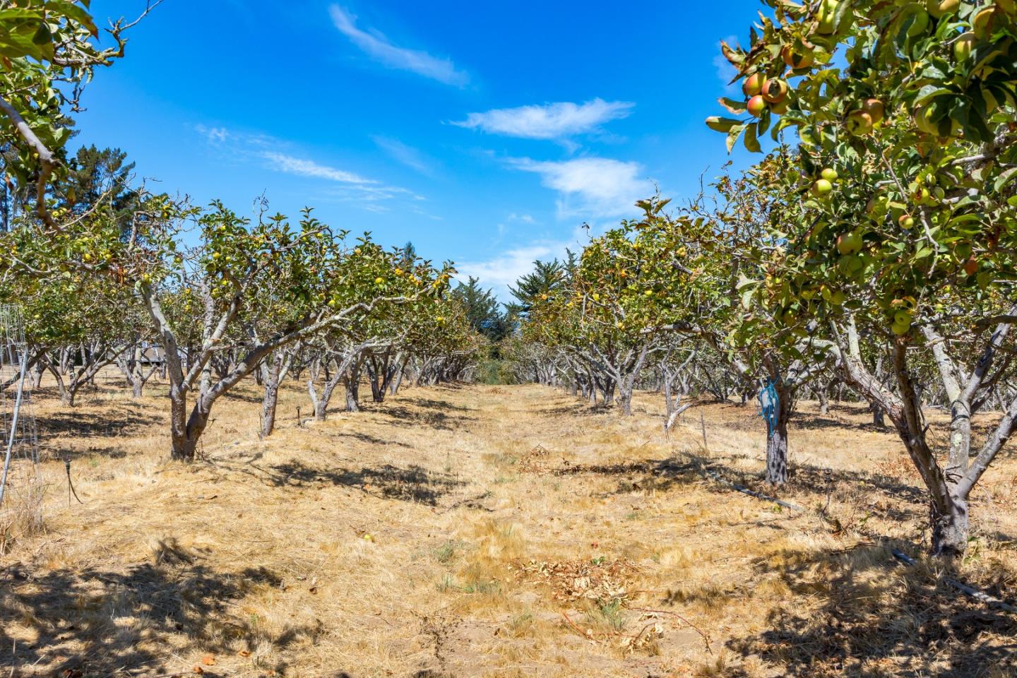 Watsonville, California, 95076, United States, ,Land,For Sale,1942111