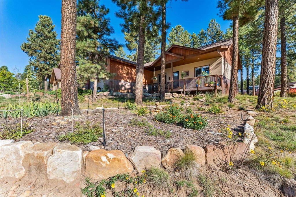 Needle Creek Trl, Durango, CO 81301