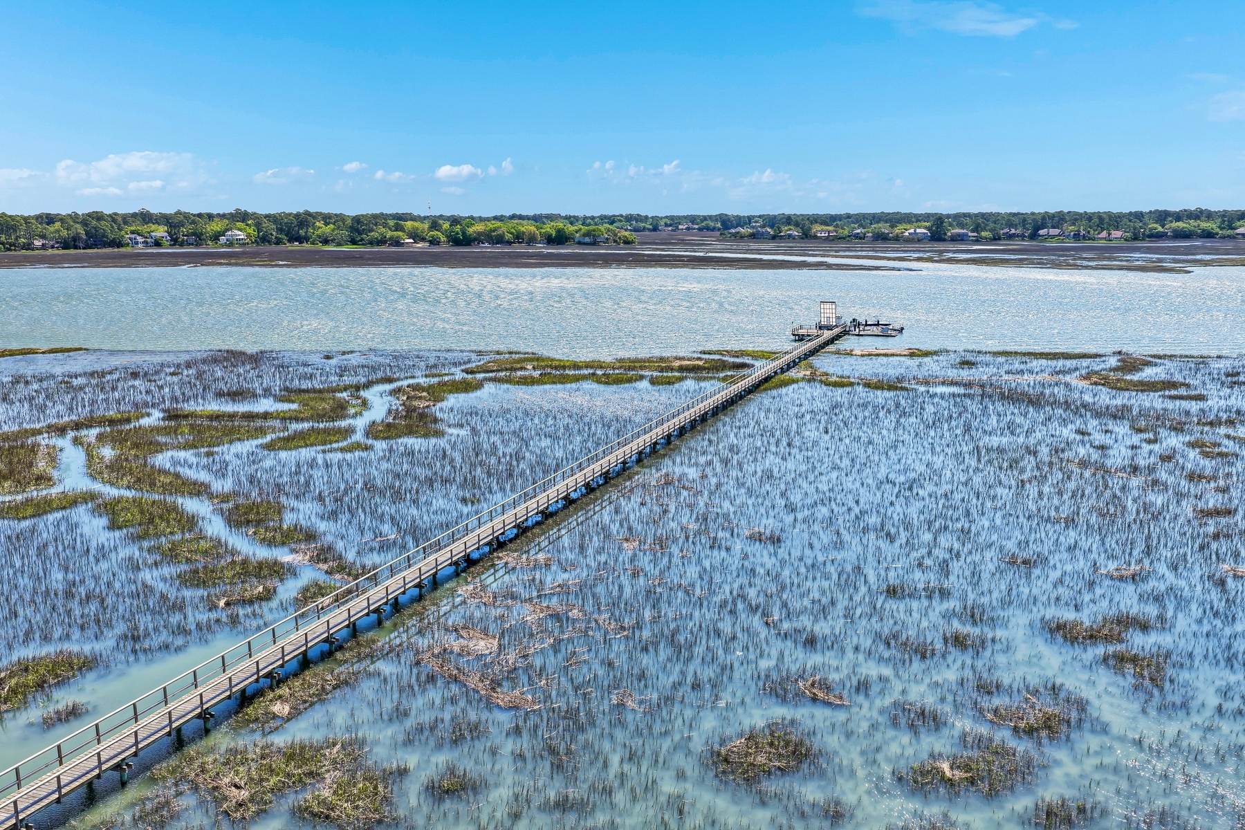  Buck Island  A Private Lowcountry Sanctuary - 物件實景