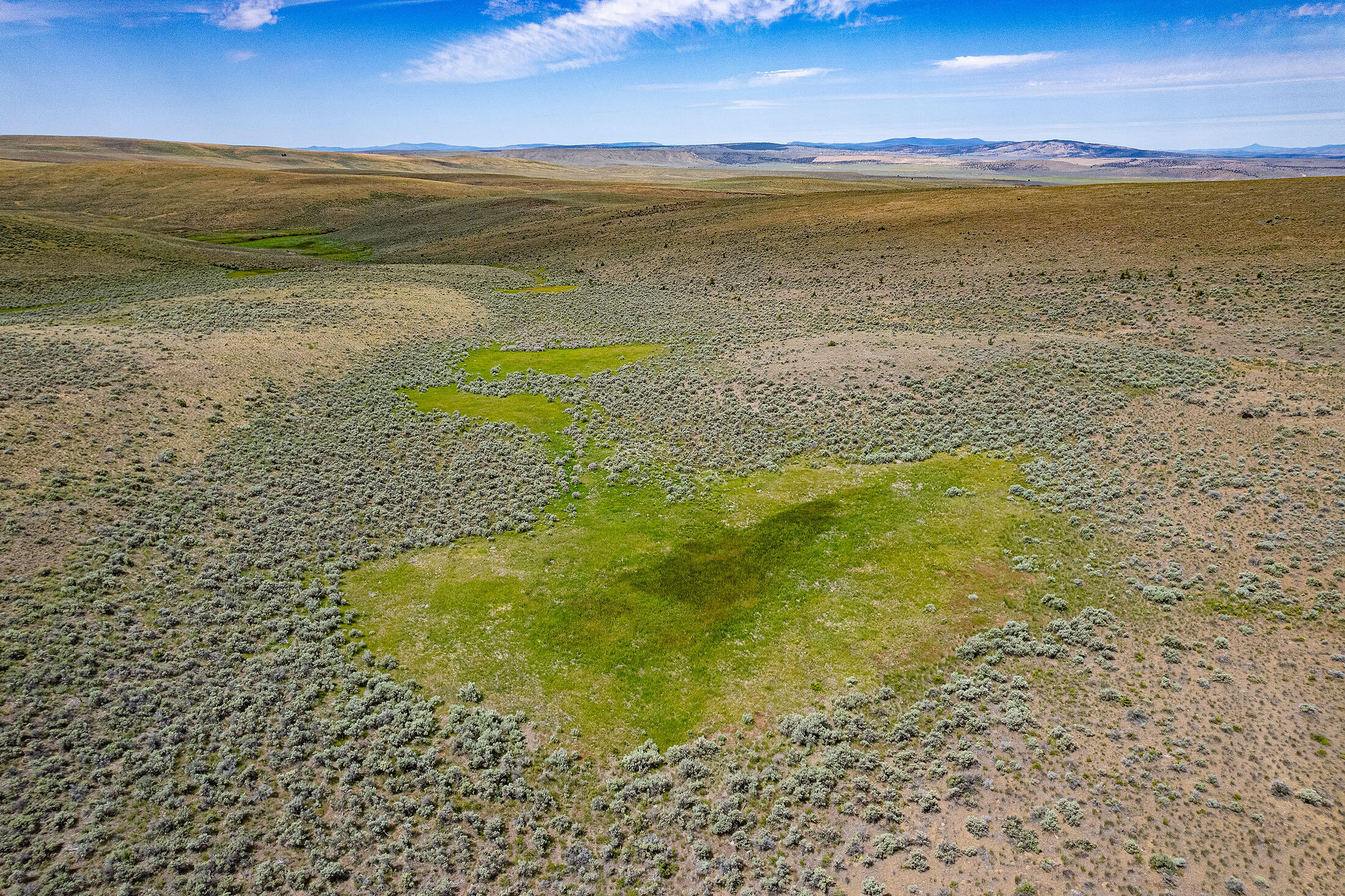 Tl 3700 Suplee Highway, Paulina, Oregon, 97751, United States, ,Land,For Sale,Tl 3700 Suplee Highway,1511106