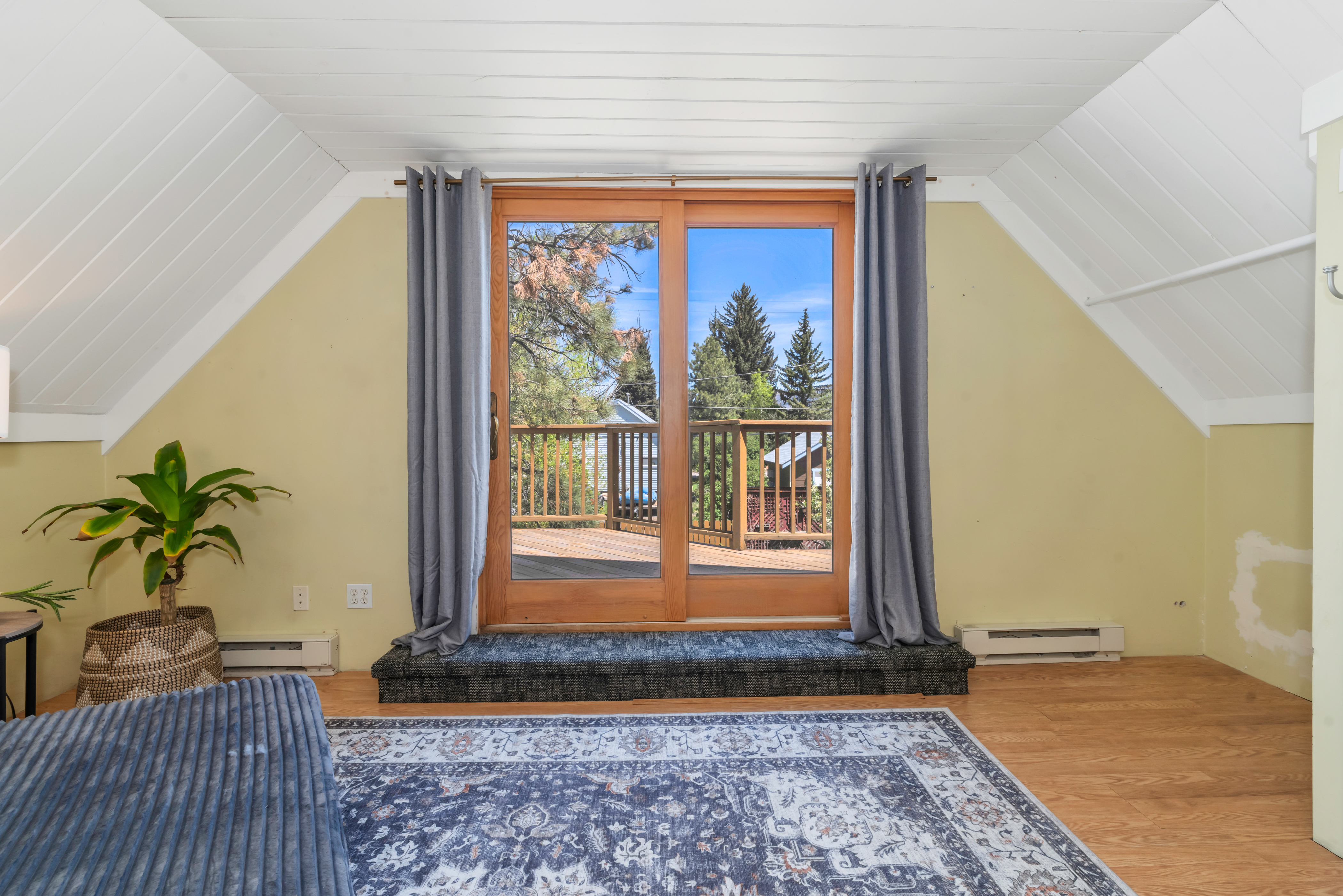  234 Hill Street, Steamboat Springs, CO 80487 - 物件實景