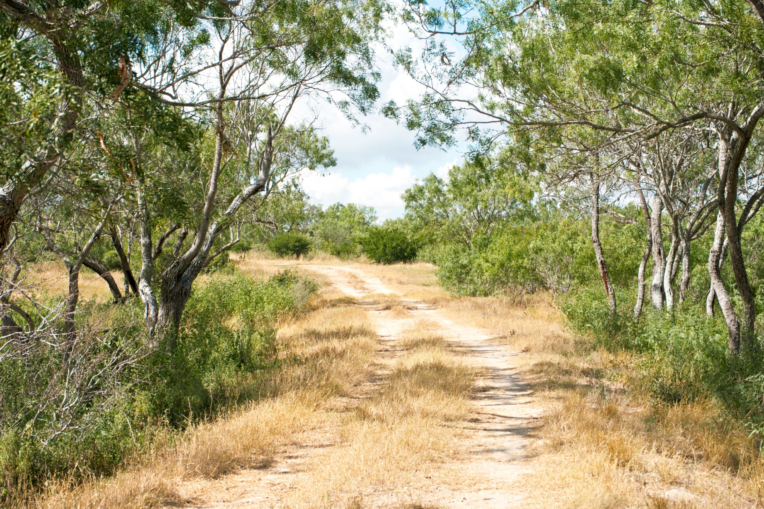  1234.89 +/- Acres, Santa Clara Ranch, Atascosa County, Falls City, TX 78113 - 物件實景