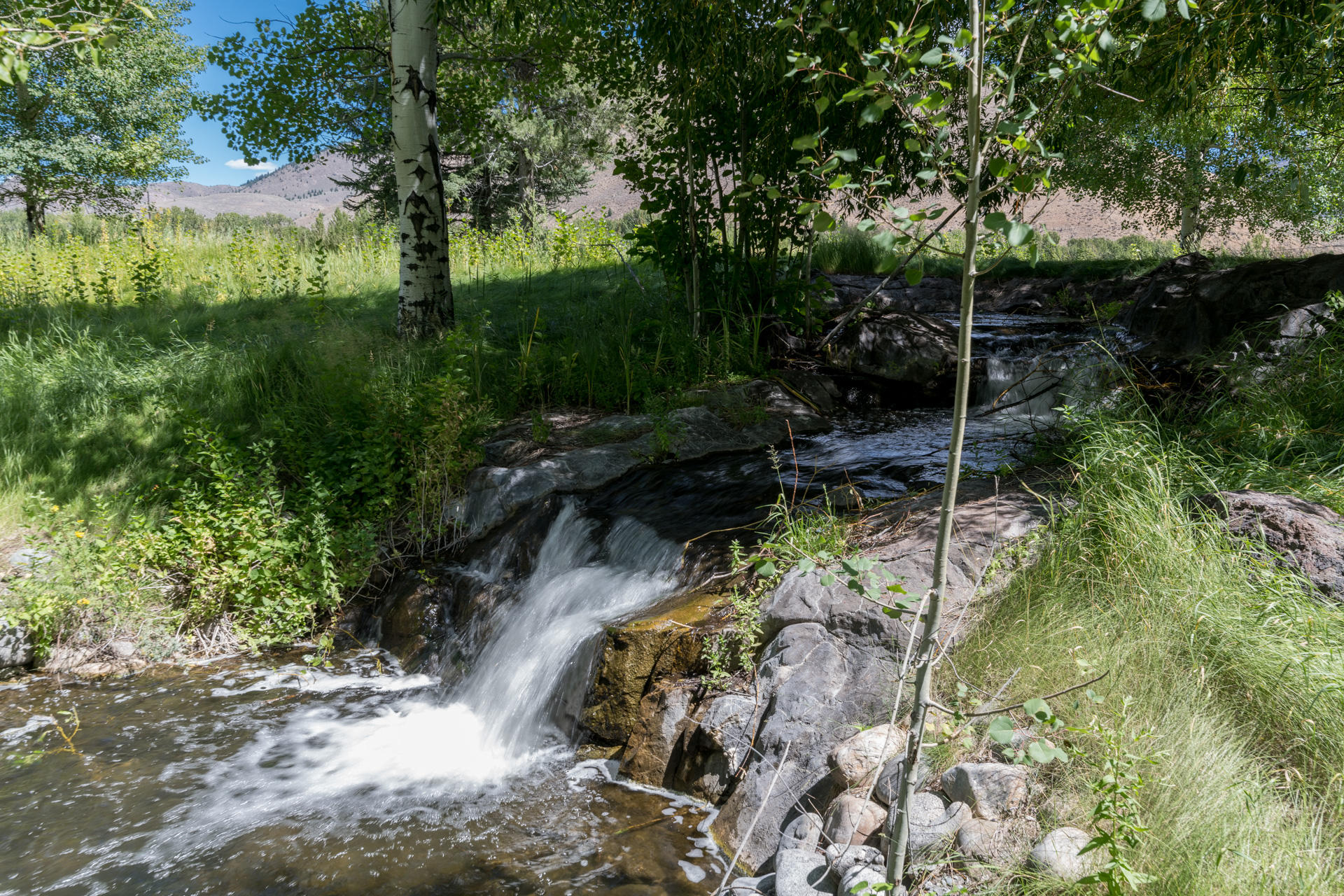 Blaine County, Idaho, 83333, United States, ,Land,For Sale,1794609