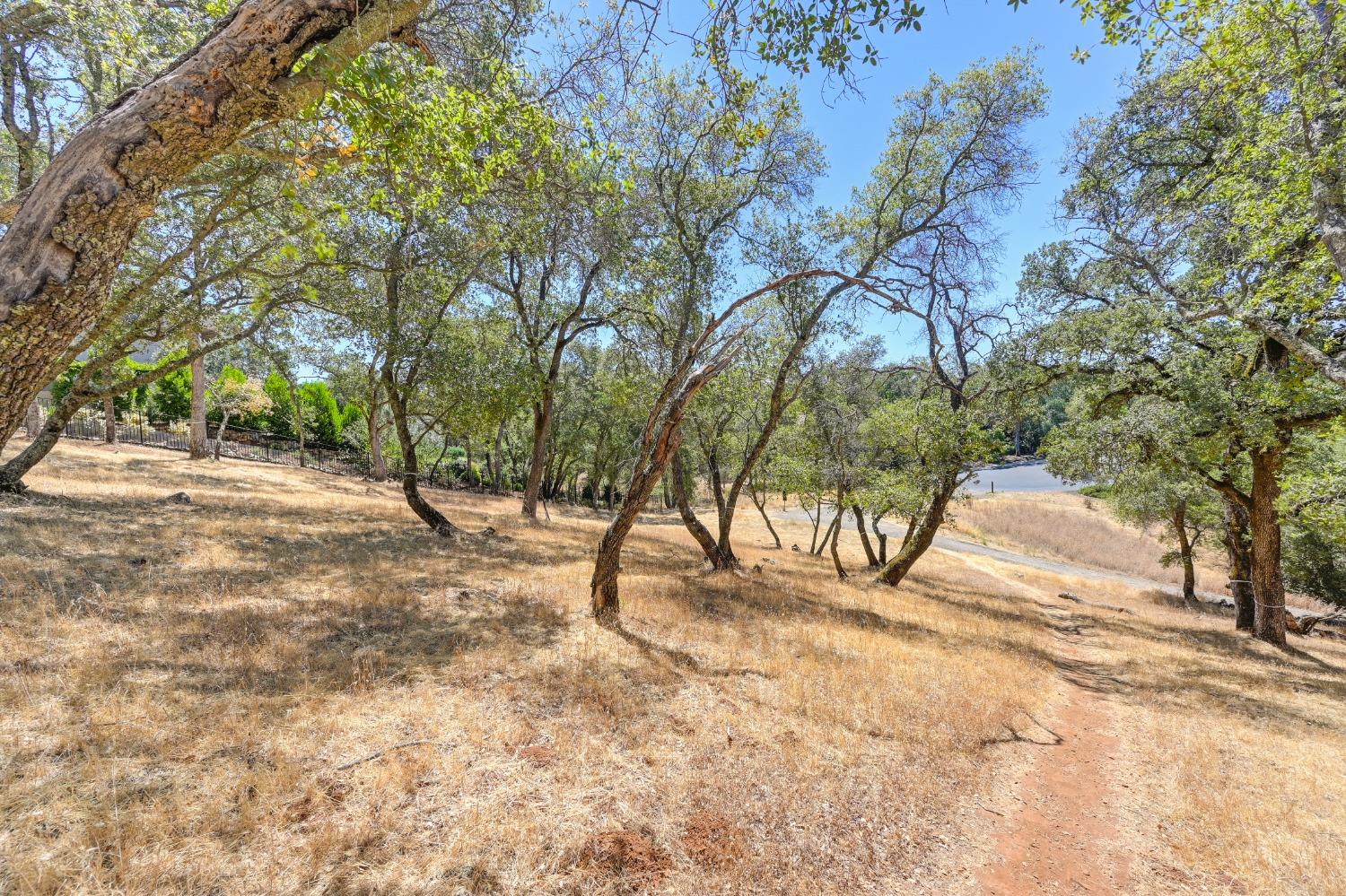 5211 Da Vinci Drive, El Dorado Hills, California, 95762, United States, ,Land,For Sale,5211 Da Vinci Drive,1573000