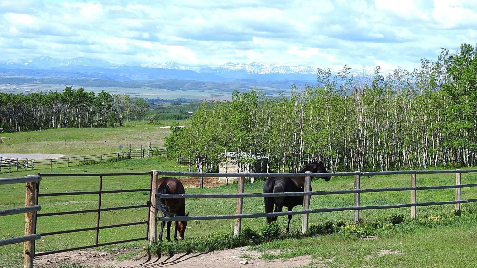 RURAL FOOTHILLS COUNTY, Alberta, T1S 4A9, CA, 3 Bedrooms Bedrooms, ,5 BathroomsBathrooms,Residential,For Sale,1838193