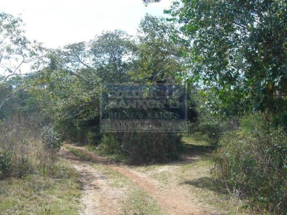 Carretera Federal M?rida-Valladolid, Benito Juárez, Quintana Roo, 77500, Mexico, 1 Bedroom Bedrooms, ,Residential,For Sale,Carretera Federal M?rida-Valladolid,1443849