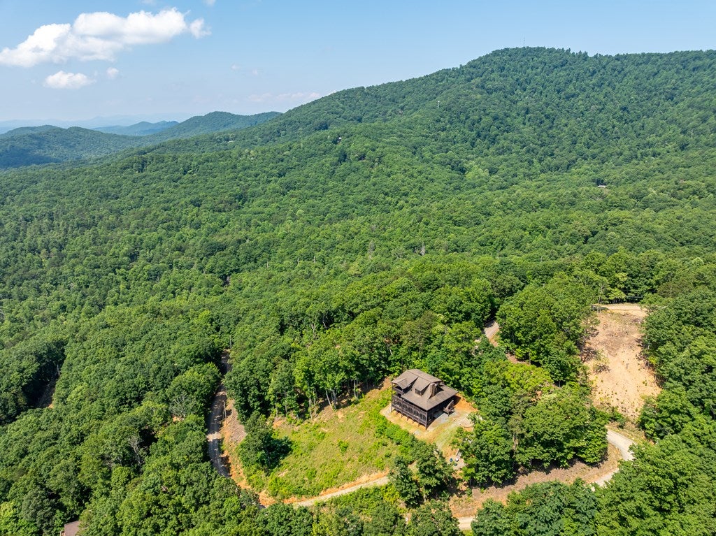 Murphy, North Carolina, 28096, United States, 4 Bedrooms Bedrooms, ,4 BathroomsBathrooms,Residential,For Sale,1871298