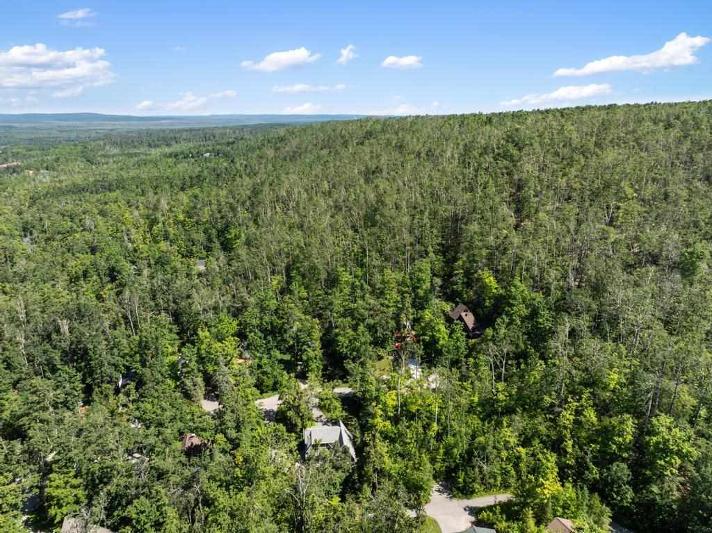 Harbor Springs, Michigan, 49740, United States, 2 Bedrooms Bedrooms, ,2 BathroomsBathrooms,Residential,For Sale,1901422