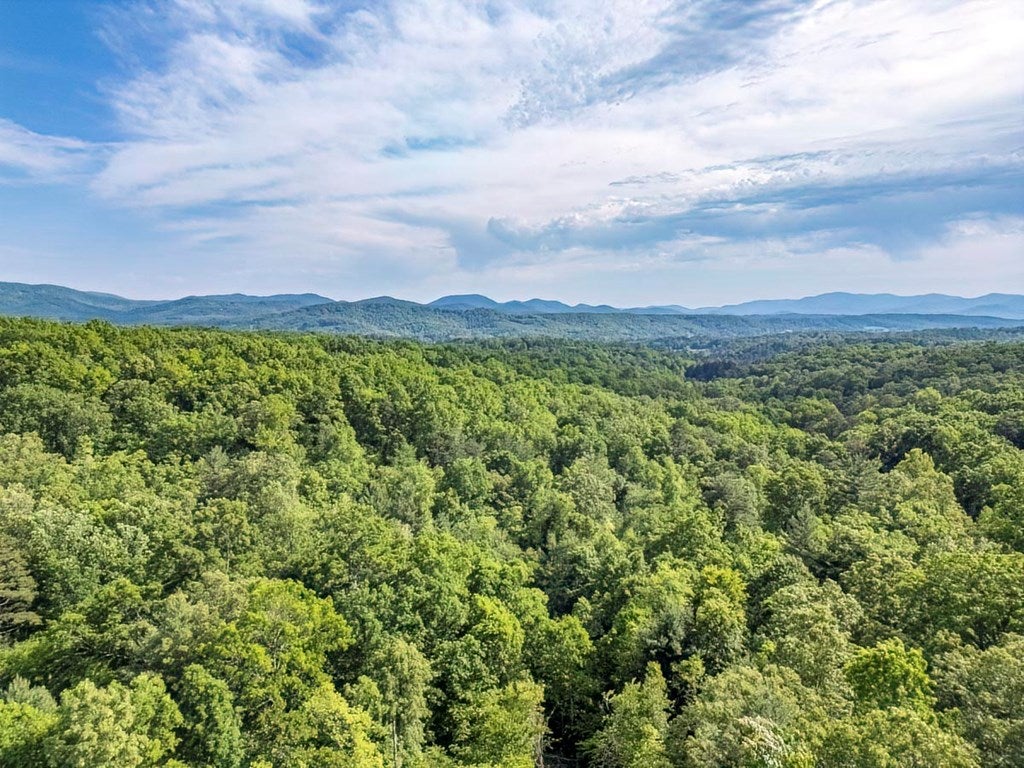 Morganton, Georgia, 30560, United States, 3 Bedrooms Bedrooms, ,4 BathroomsBathrooms,Residential,For Sale,1826410