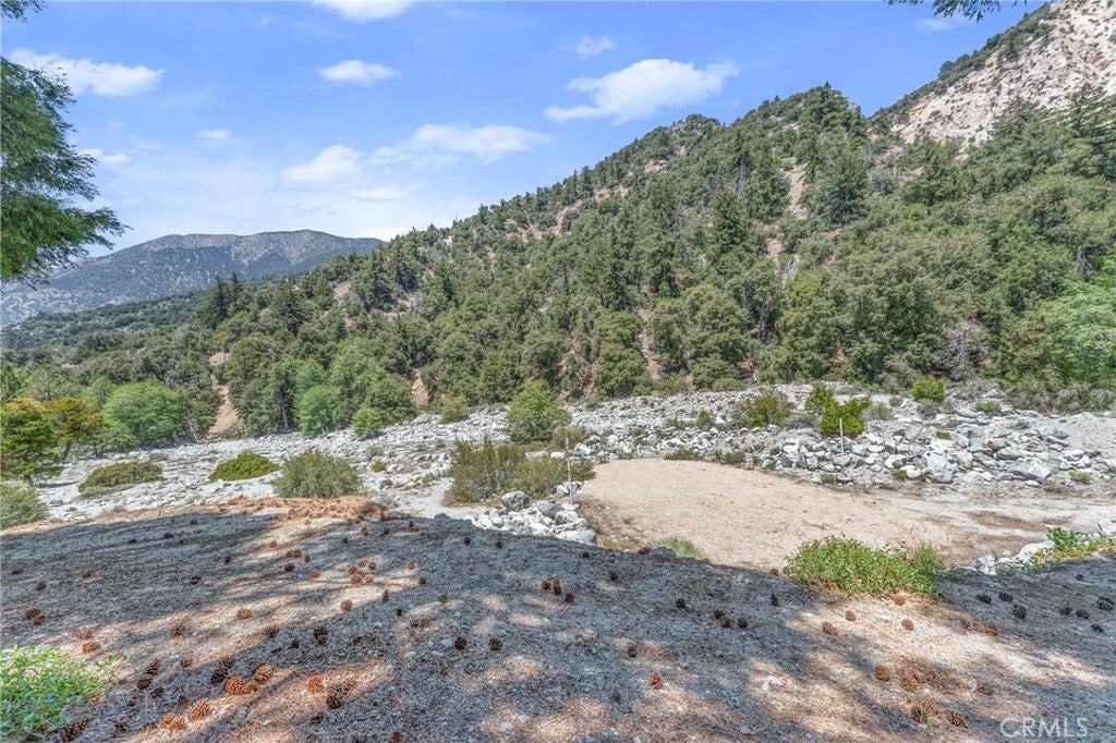 Forest Falls, California, 92339, United States, 2 Bedrooms Bedrooms, ,3 BathroomsBathrooms,Residential,For Sale,1928200