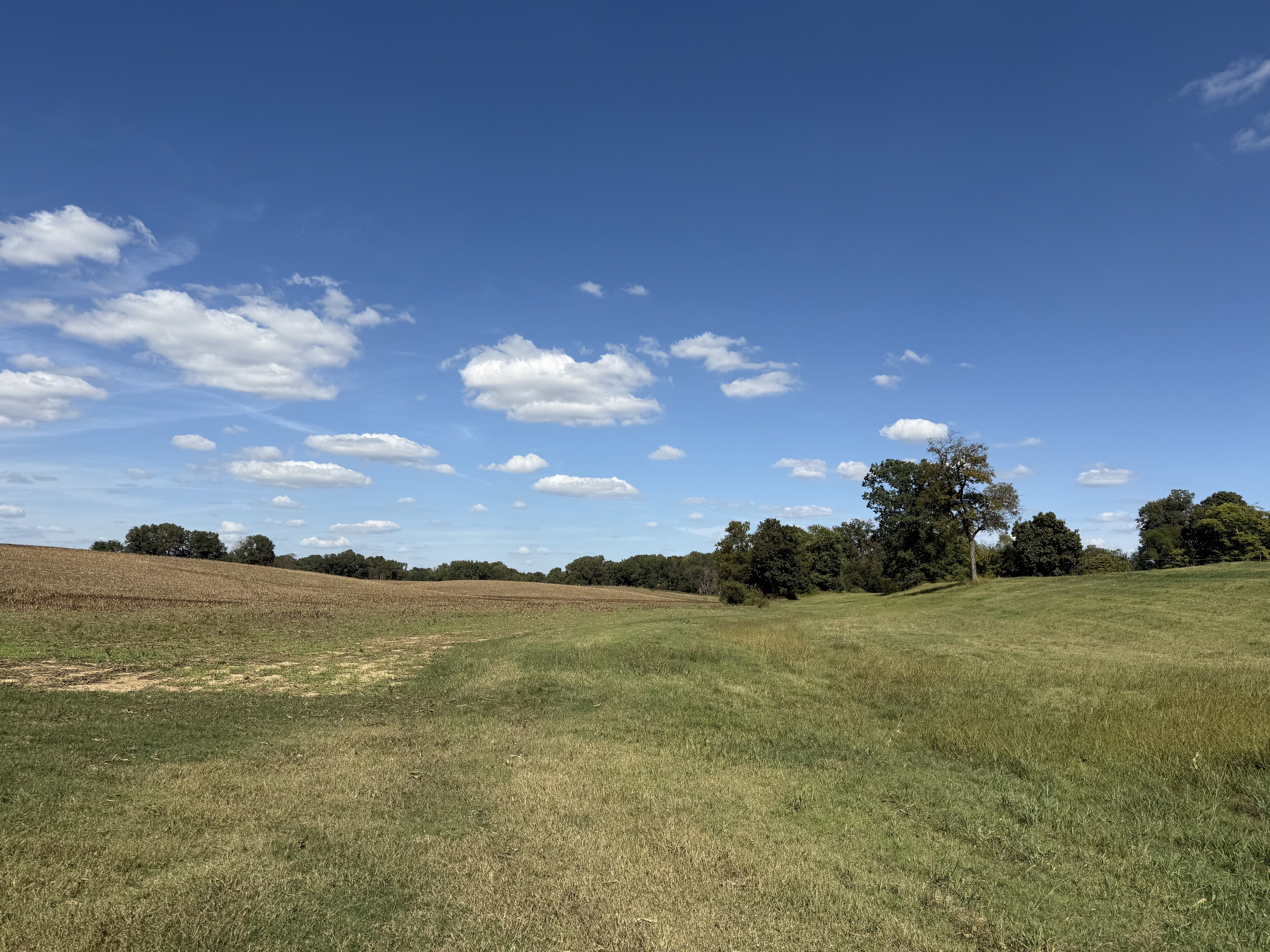 Union City, Tennessee, 38261, United States, ,Land,For Sale,1983547