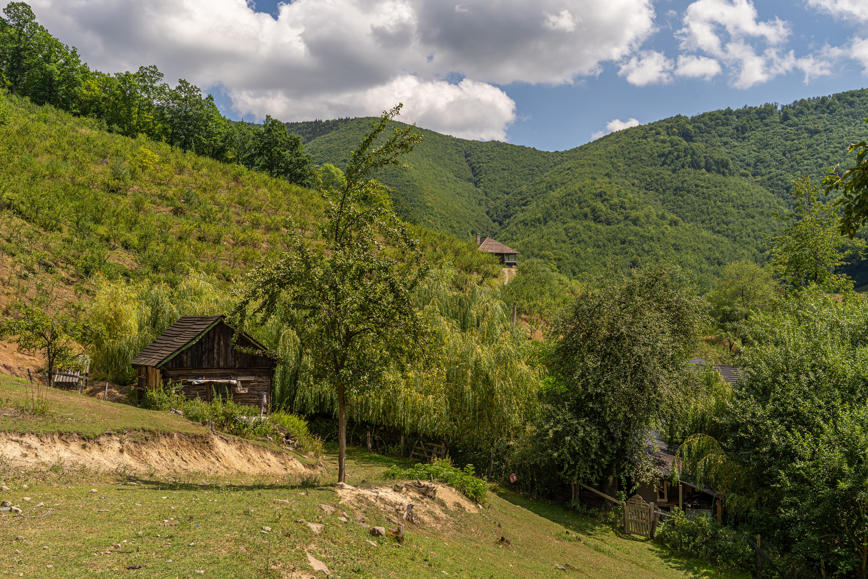  Versatile 22-Hectare Private Estate - Forested Heart of the Apuseni Mountains - 物件實景